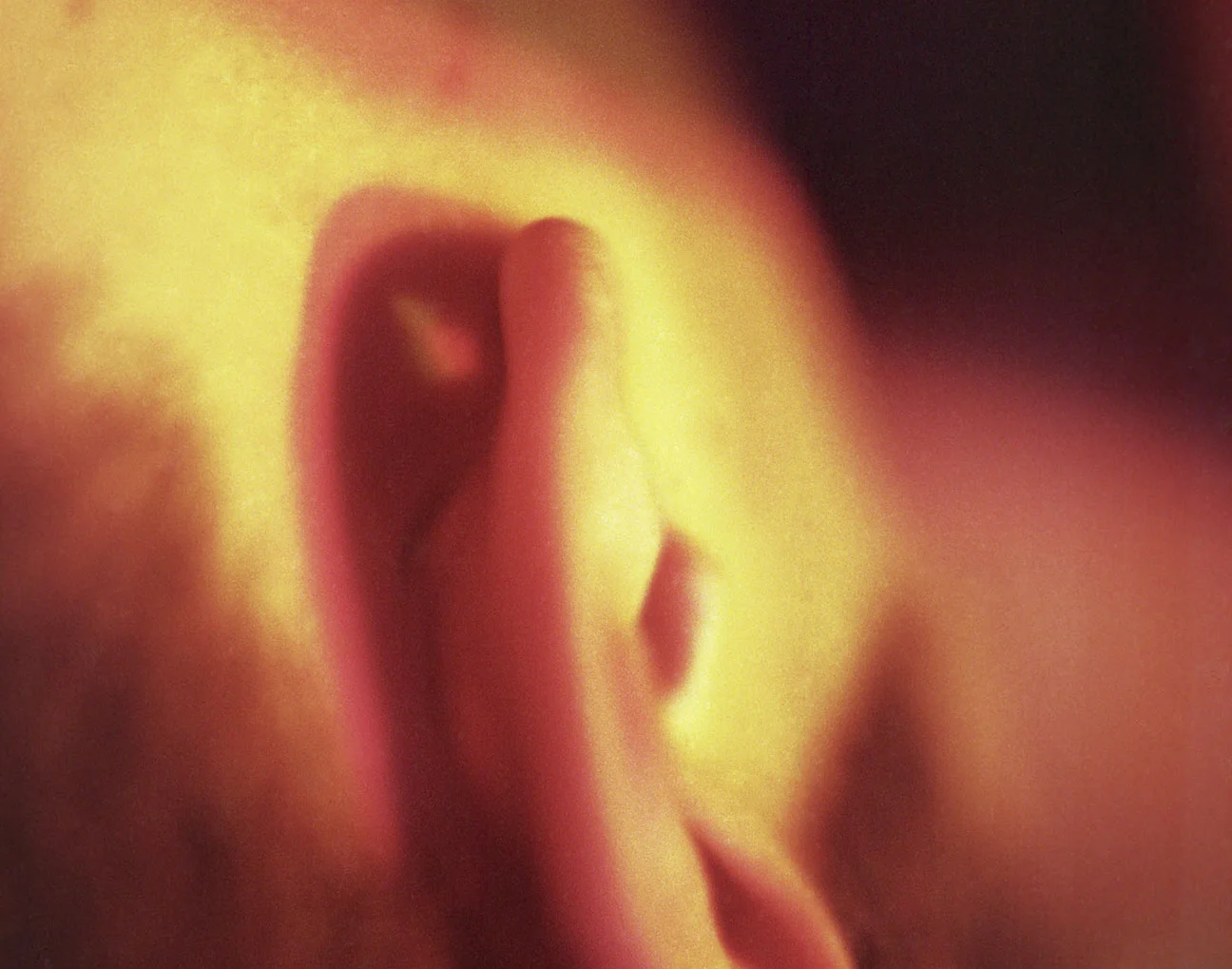Colors of Consciousness VIII
