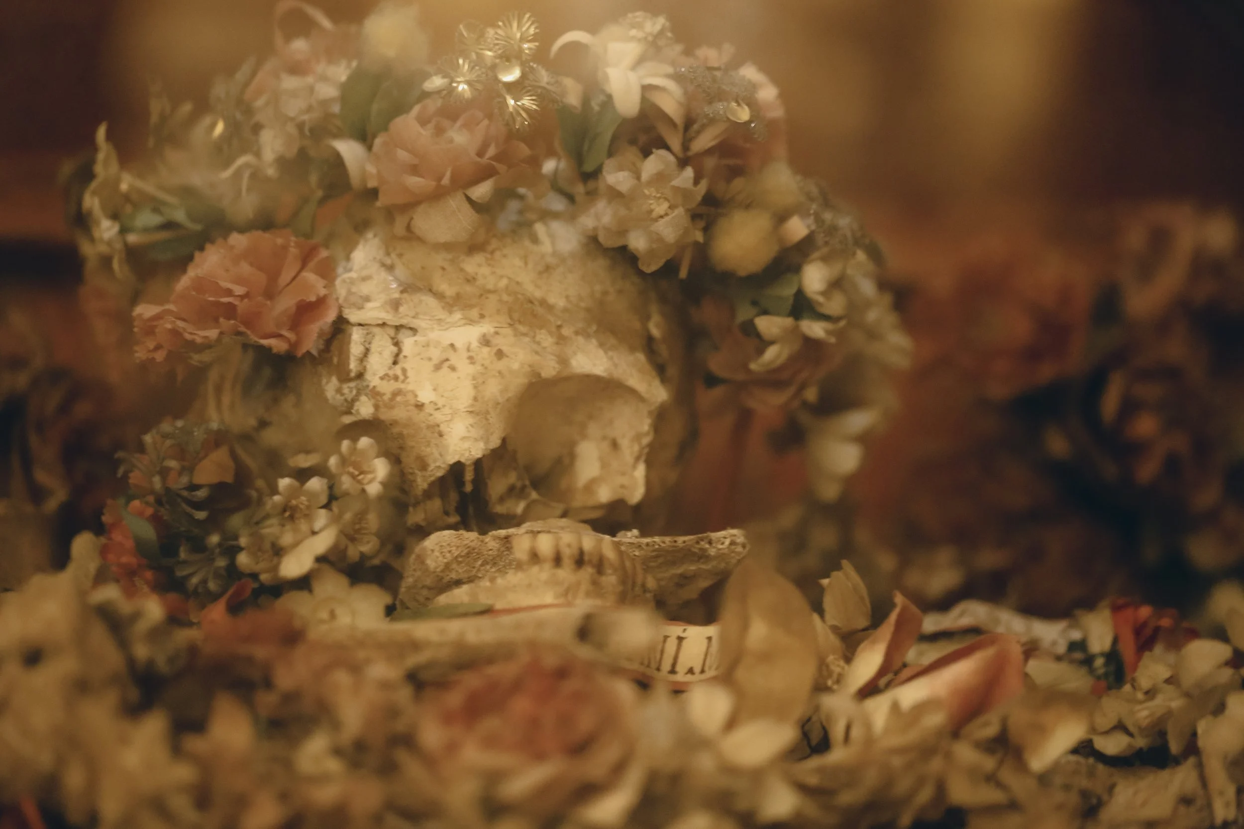 relic-3.jpg