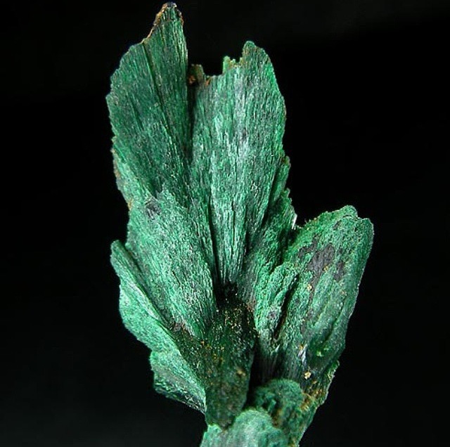 Here's one of my favorites: Malachite!