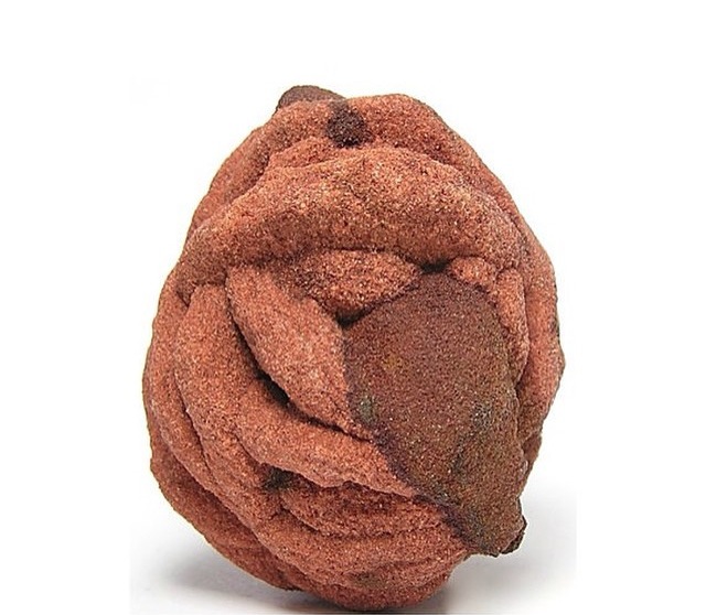 It's a Barite rose, darlings!
