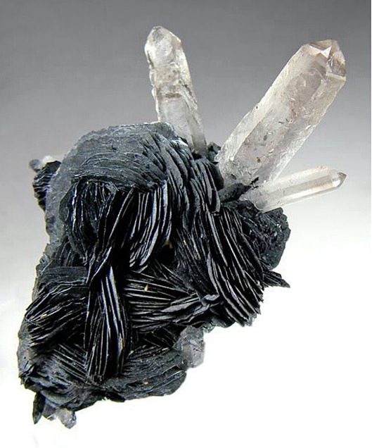 Scalloped Hematite and Quartz!
