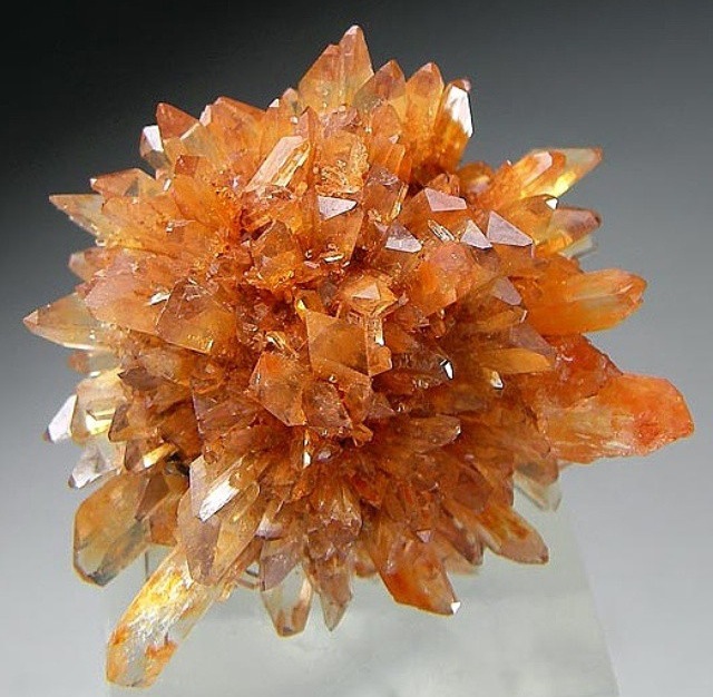 Creedite 'cause I love ya.