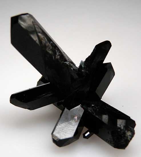 Neptunite!