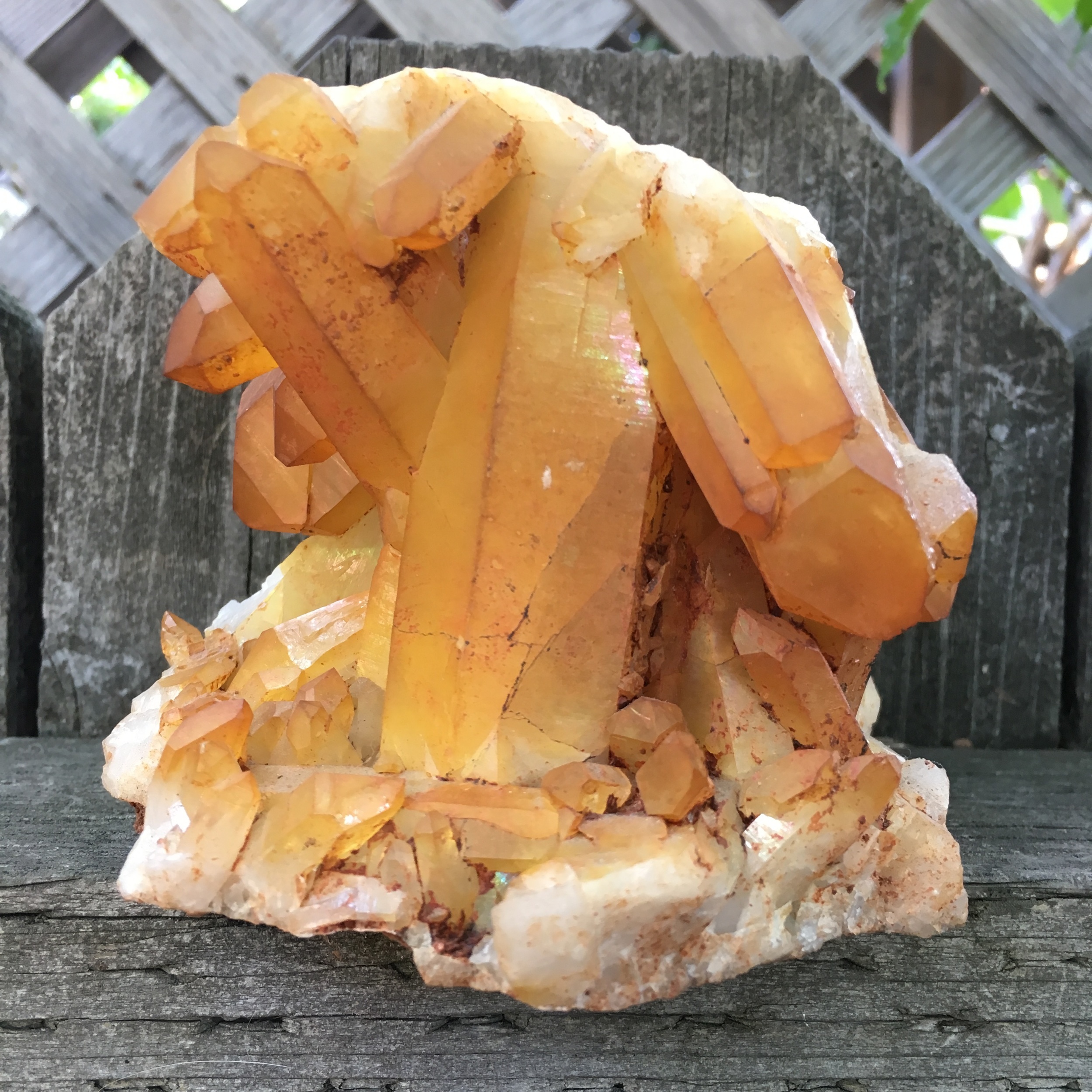 :: Golden Healers Quartz ::
