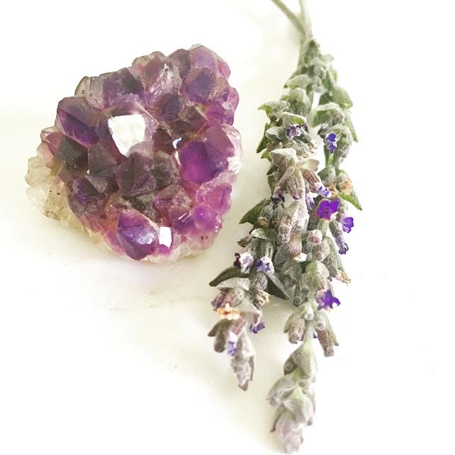 :: Amethyst & Lavender ::