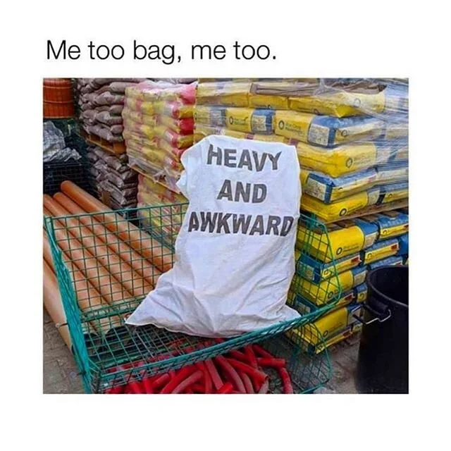 The Moon is in Capricorn and it can feel heavy and lonely, or grounding and motivating. Either way this is a good moment to clarify your emotional goals and streamline your personal strategies, Kittens.