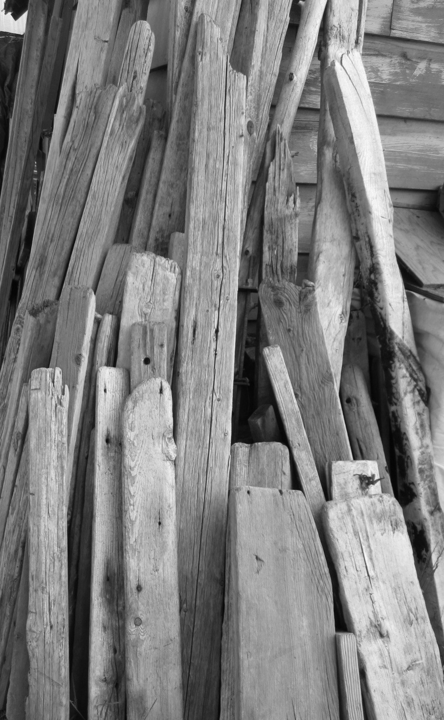 recovered driftwood air drying