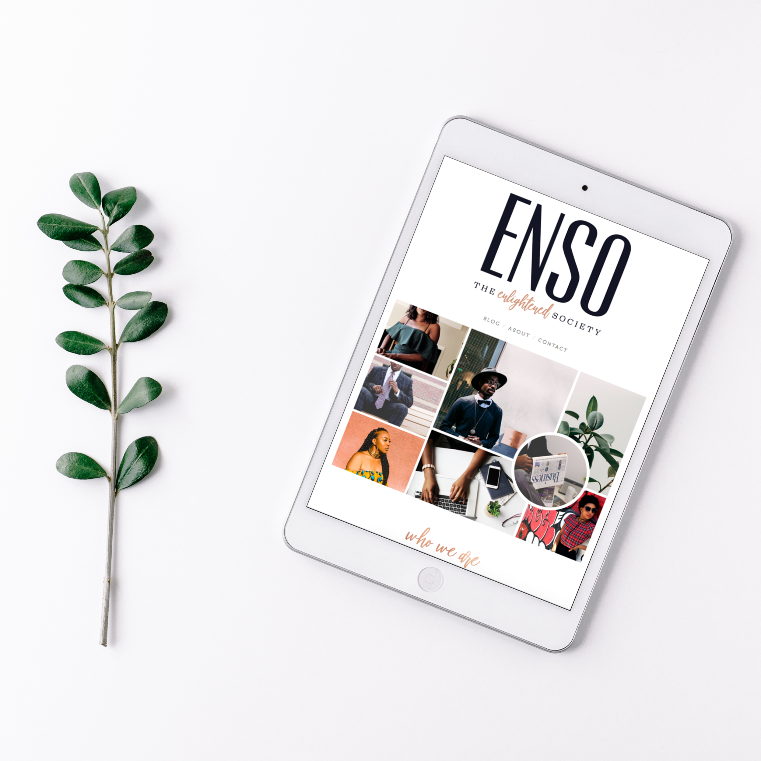 NEW WEBSITE - NO TEXT.png