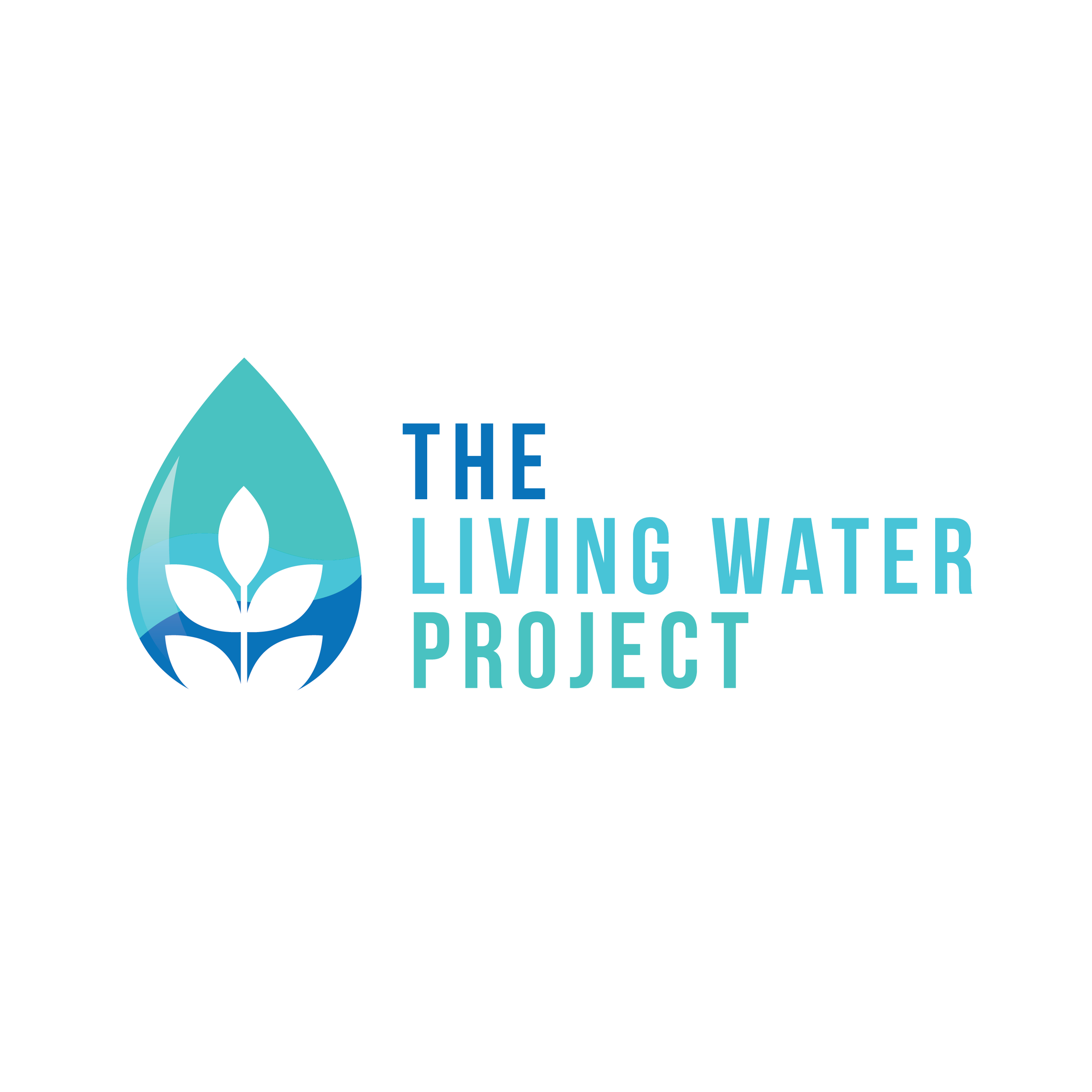 The Living Water Project