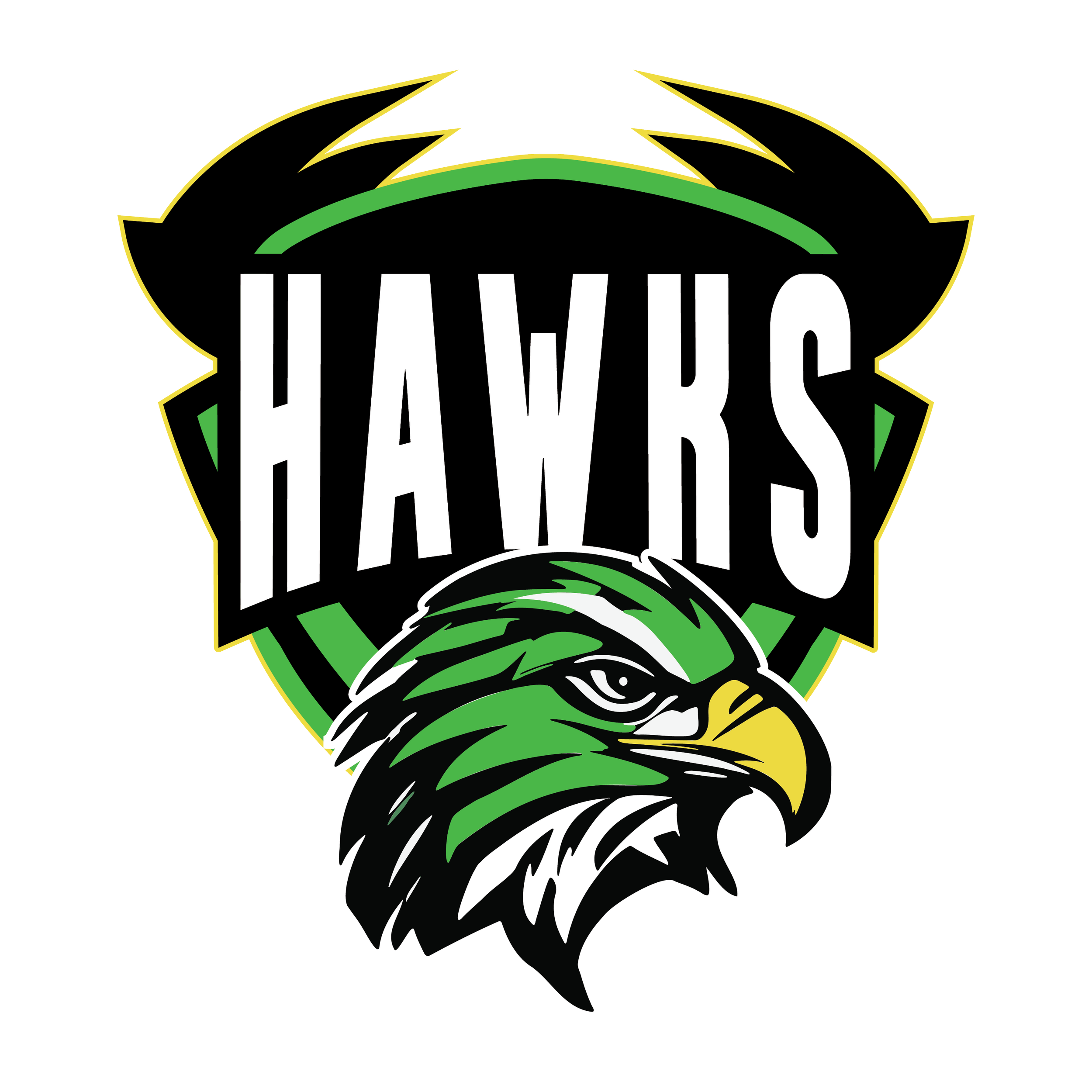 hawks_ALT LOGO-04.png