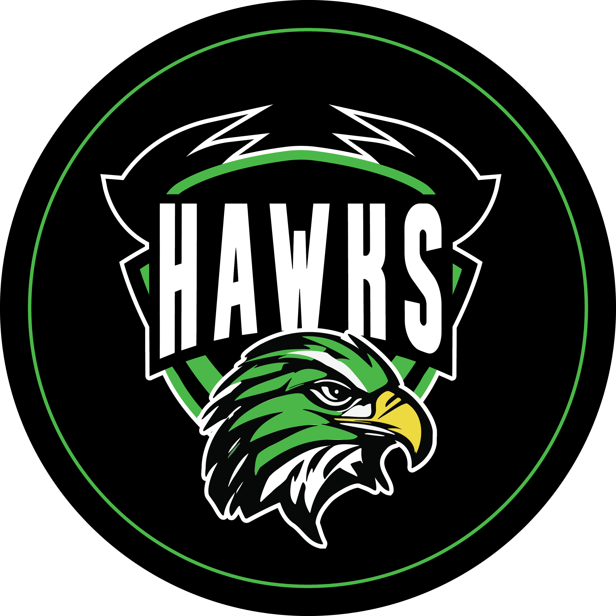 hawks_ICON.png