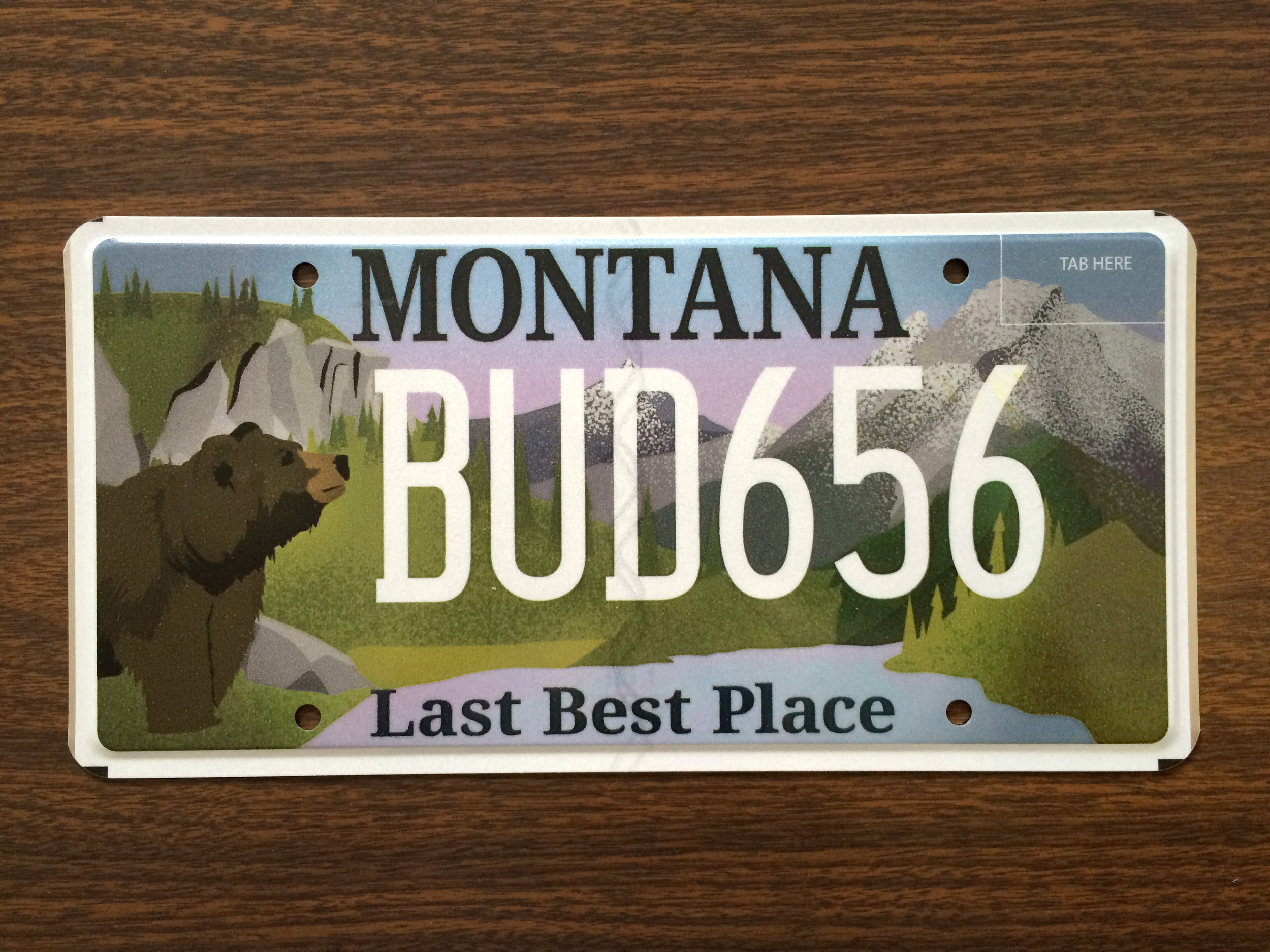 Montana License Plate, Graphic Design, and Illustration by Nikki Simon in Helena, Montana. Save the Smith River, MEIC.