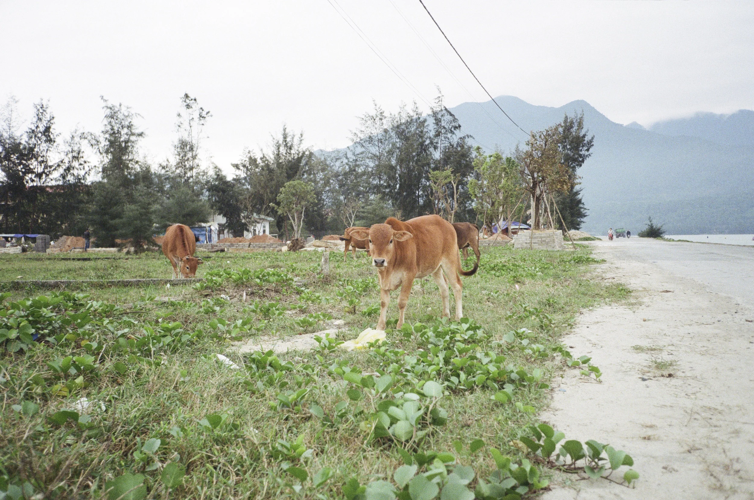 DaNang_01_149.jpg