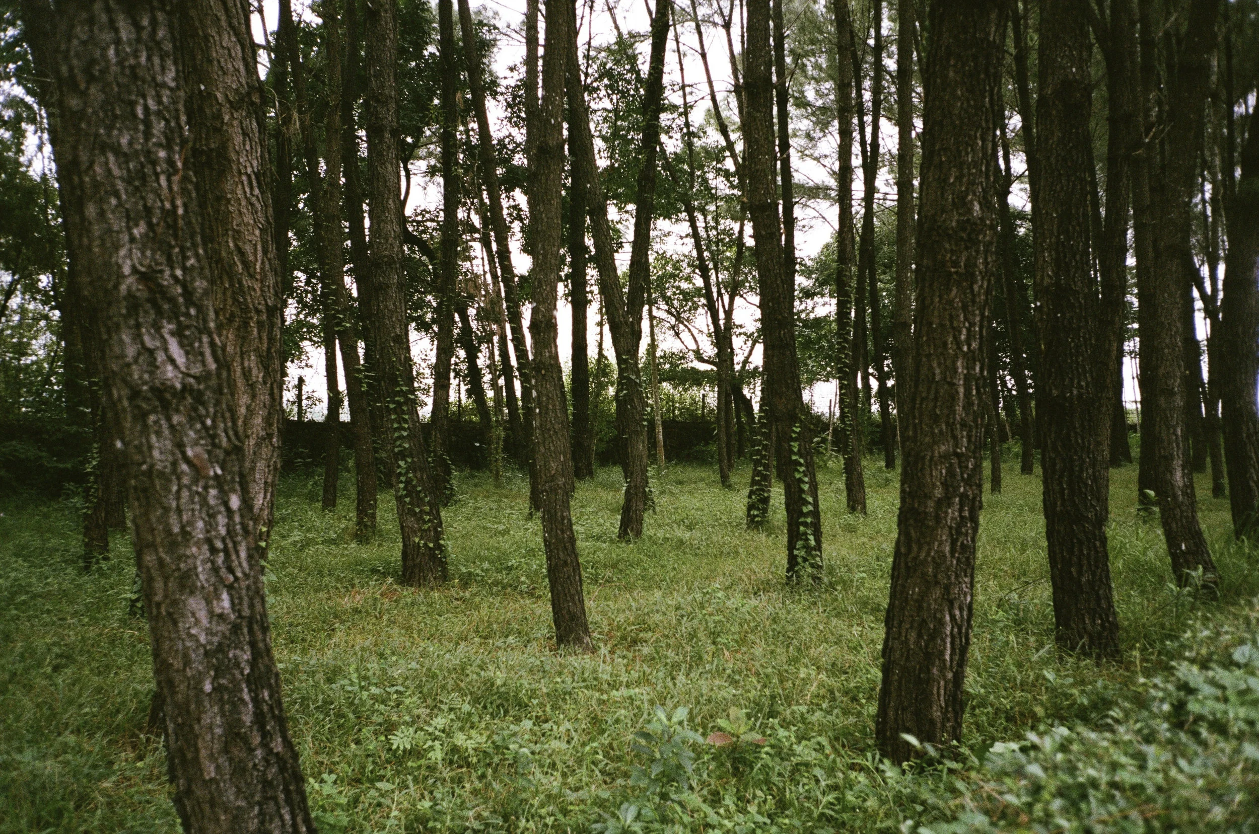 Hue_01_187.jpg
