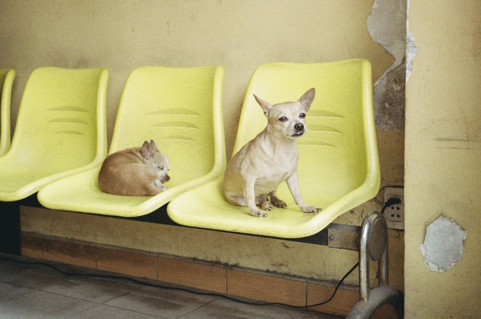 Saigon_01_134.jpg