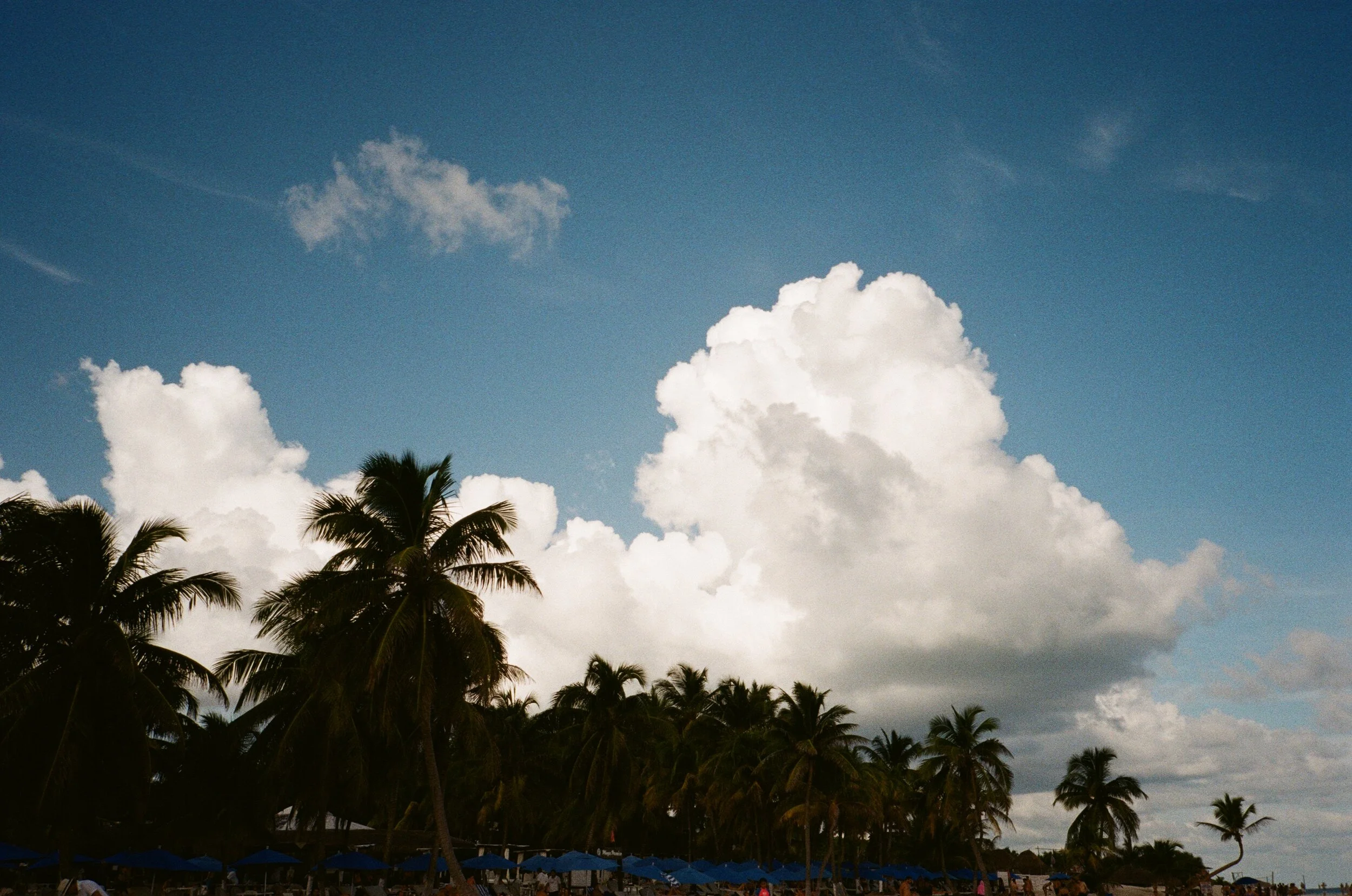 000043820023.jpg