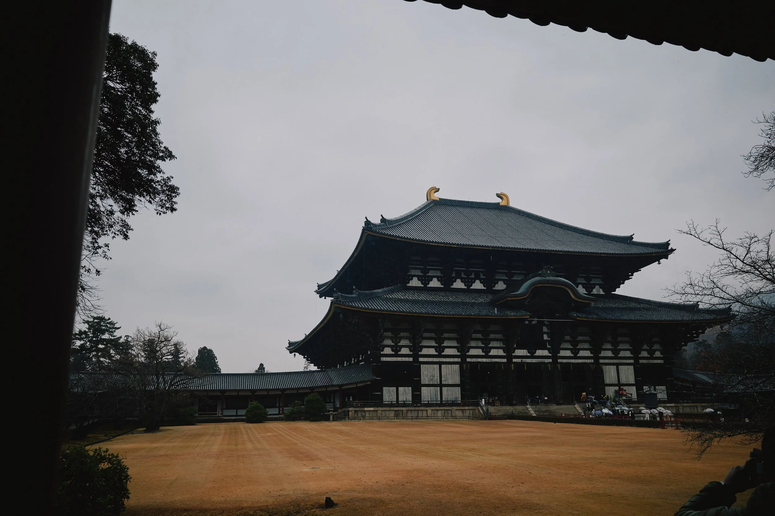 R0000465.jpg