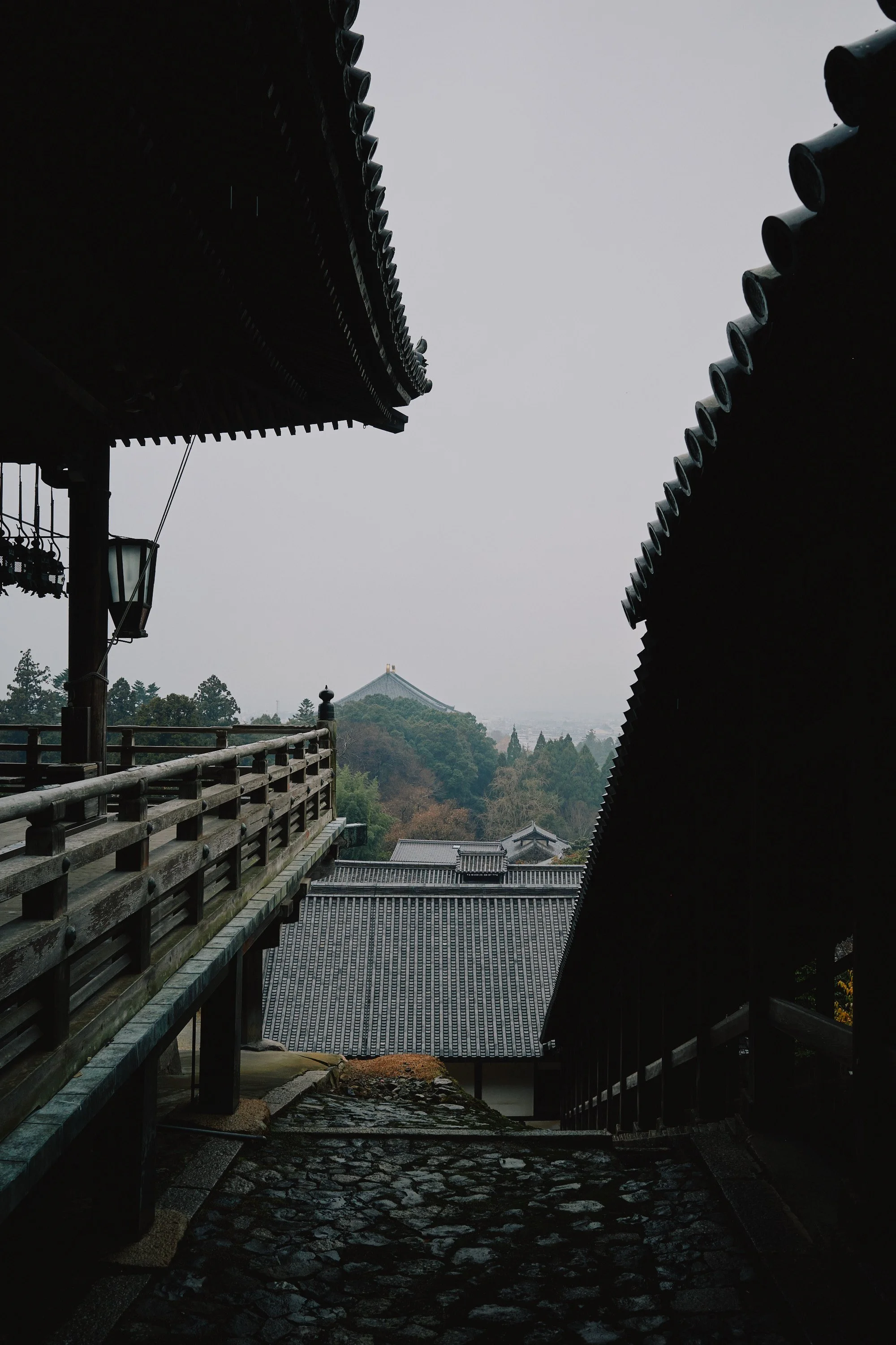 R0000493.jpg