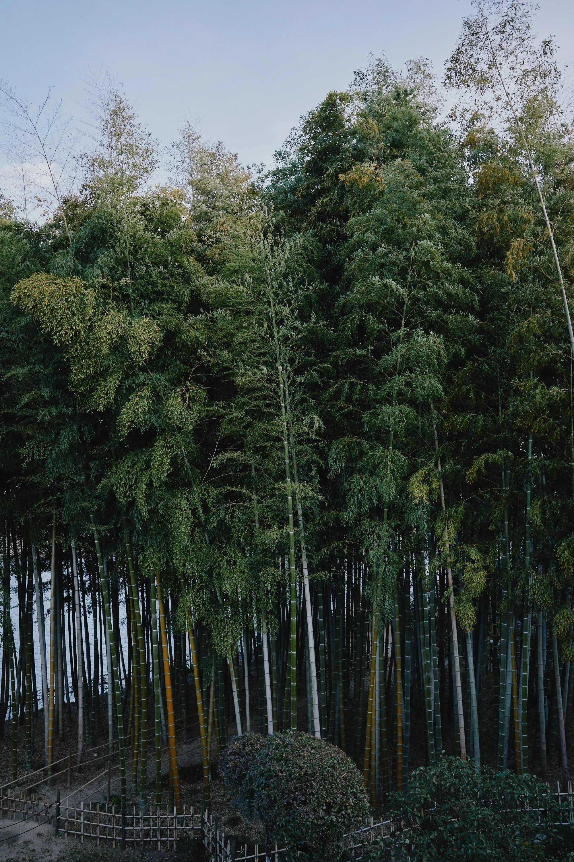 R0000572.jpg