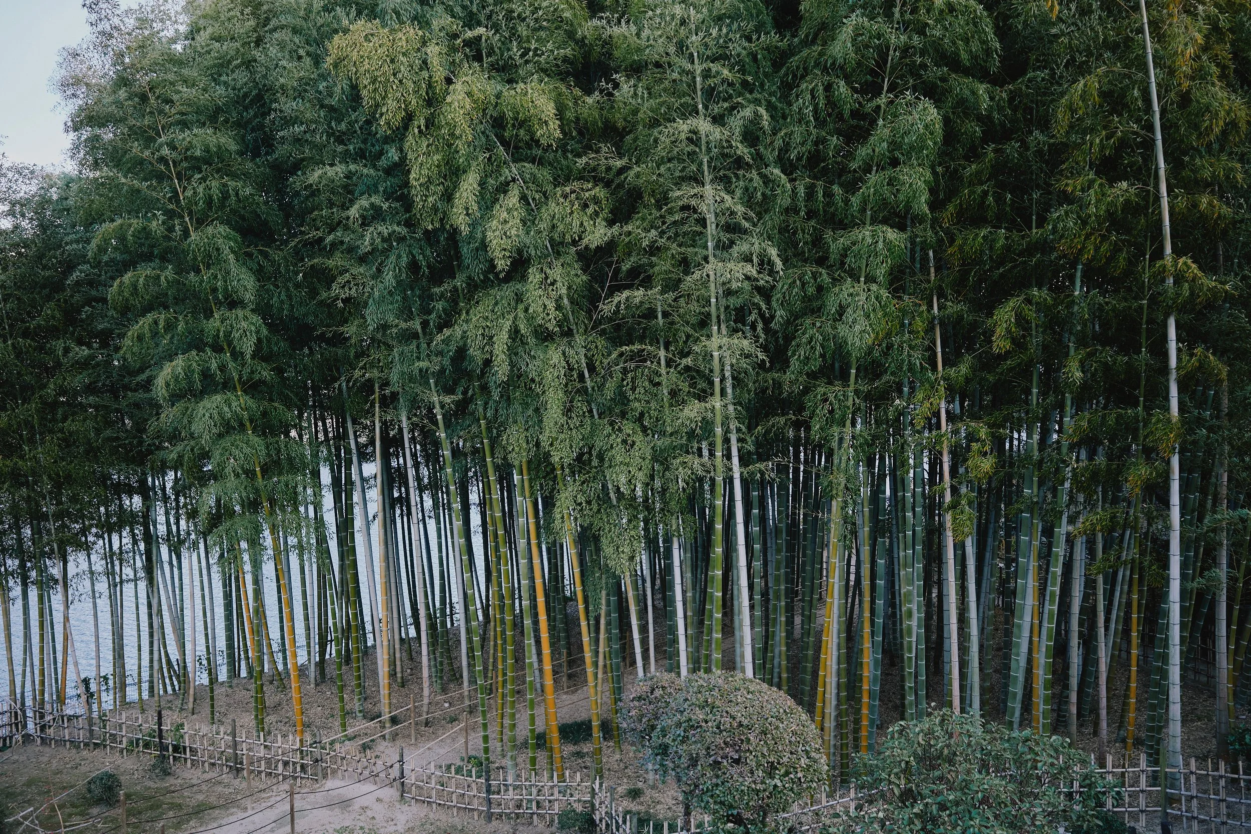 R0000573.jpg