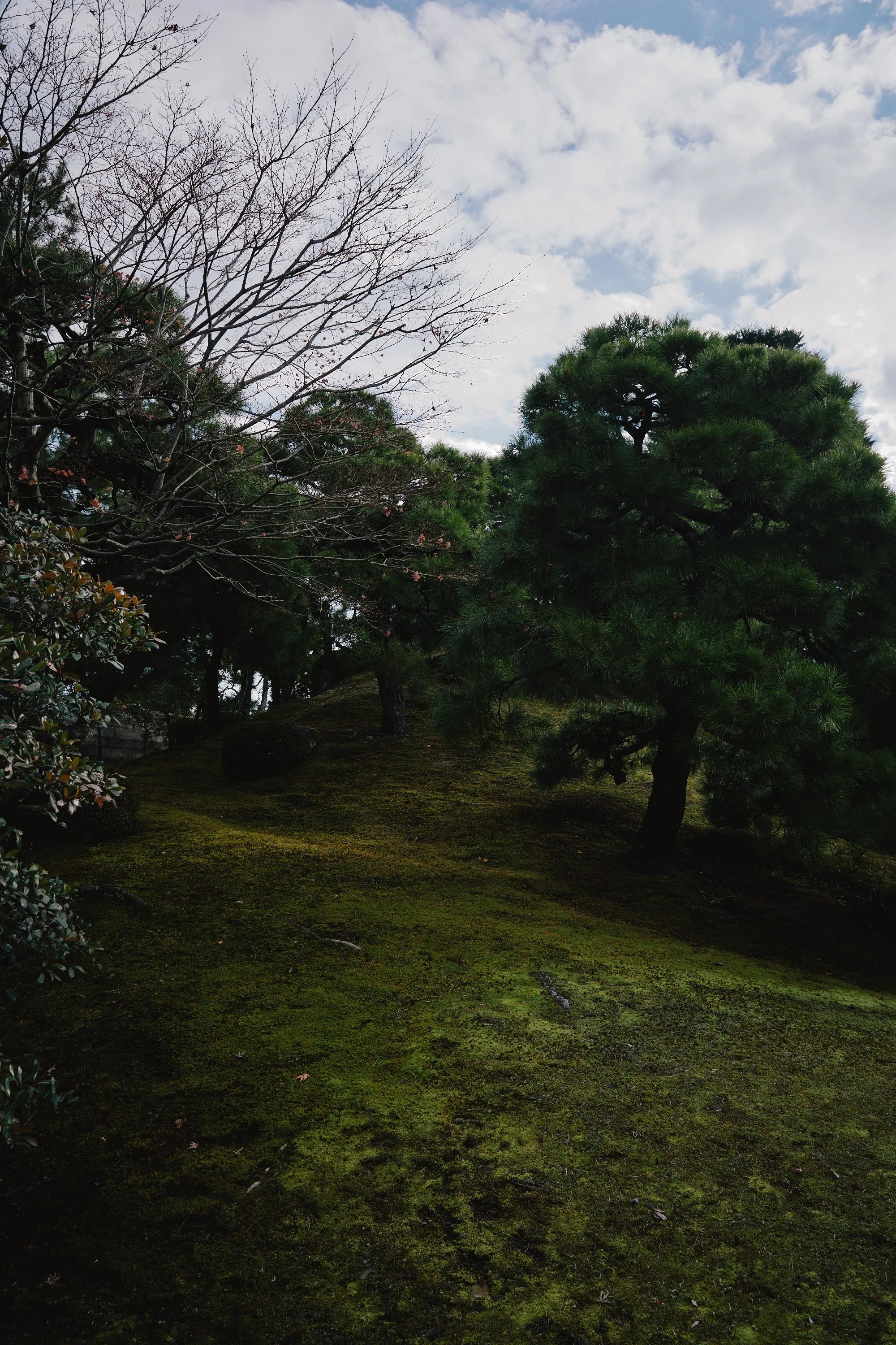 R0000618.jpg