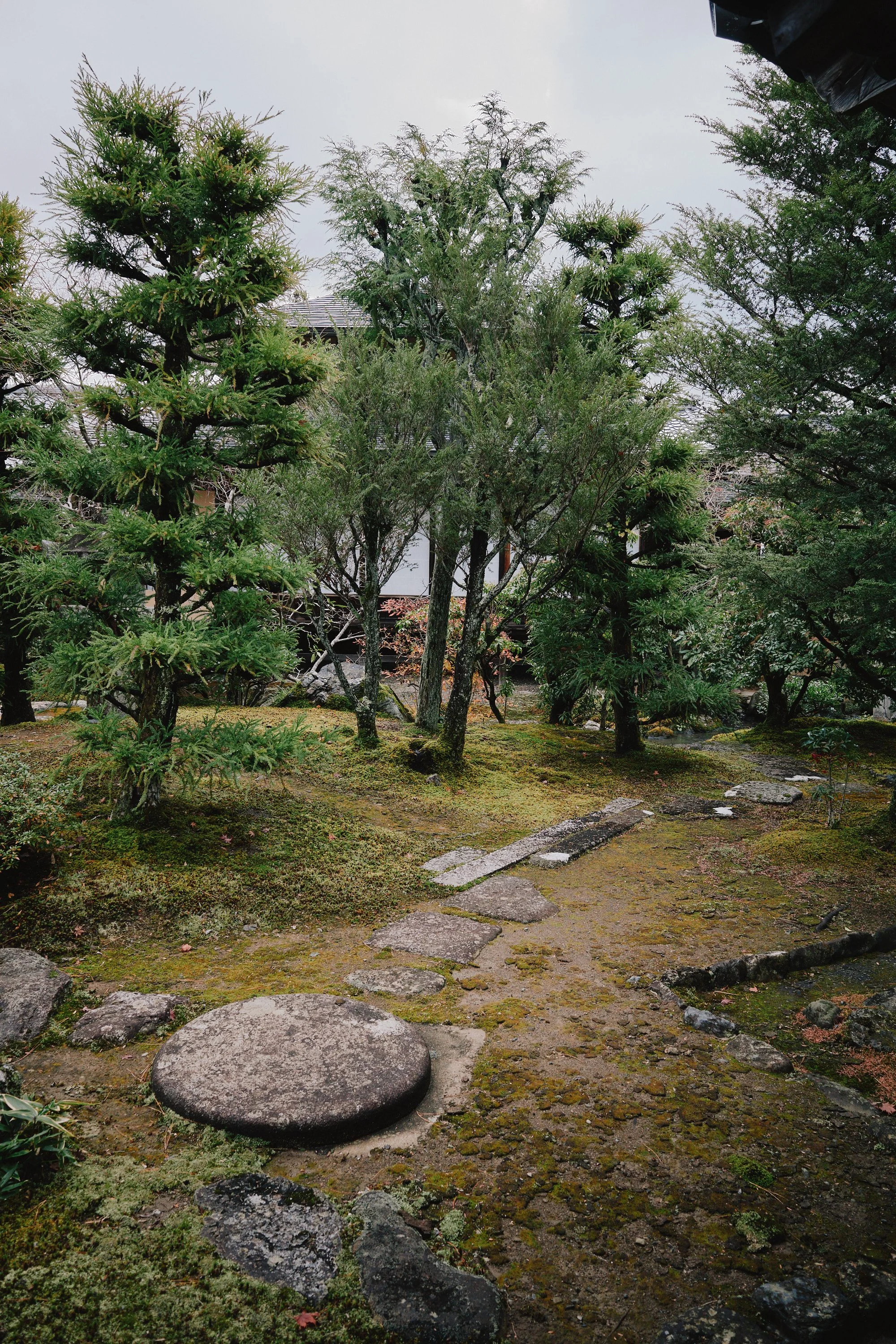 R0000651.jpg