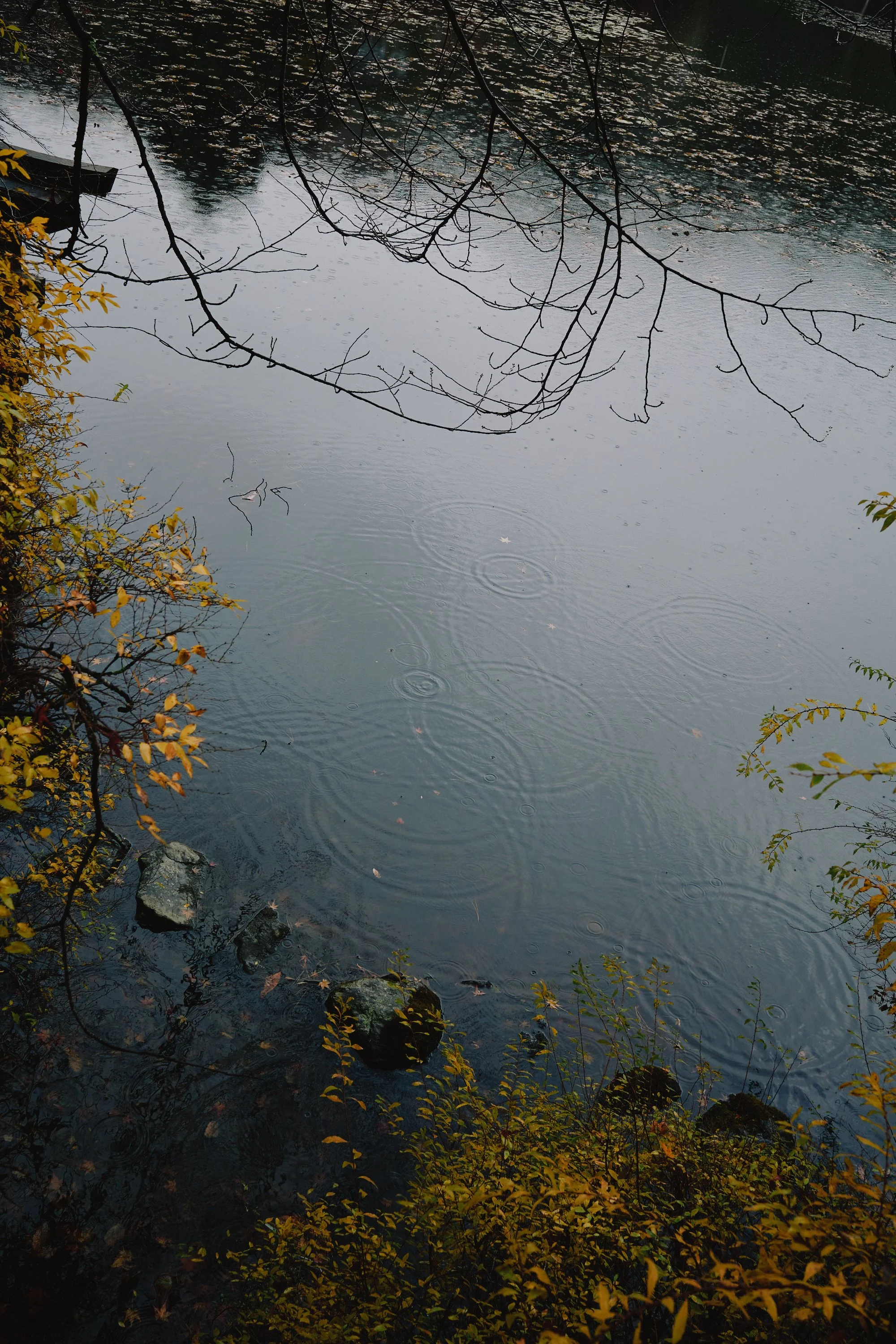 R0000665.jpg