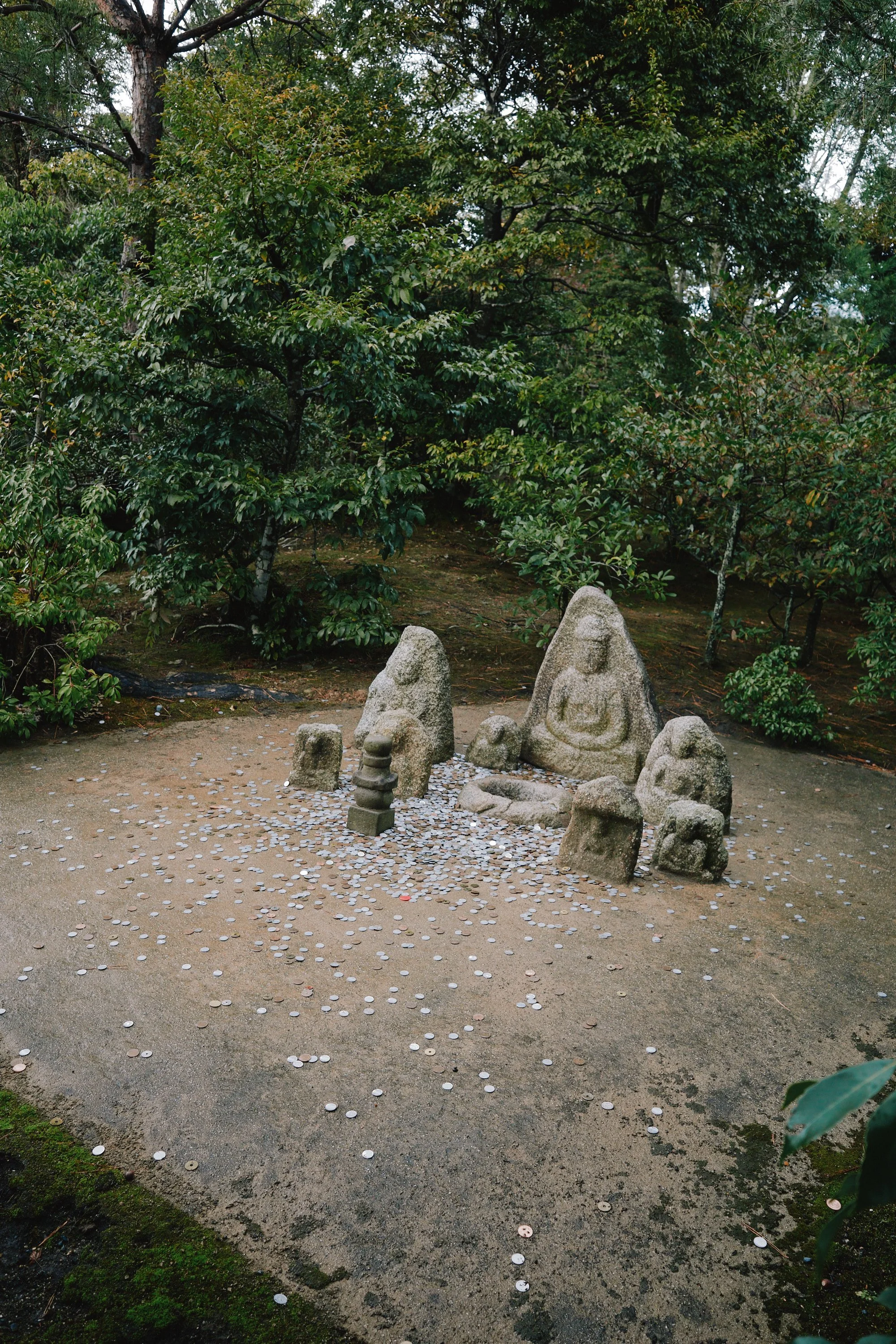 R0000694.jpg