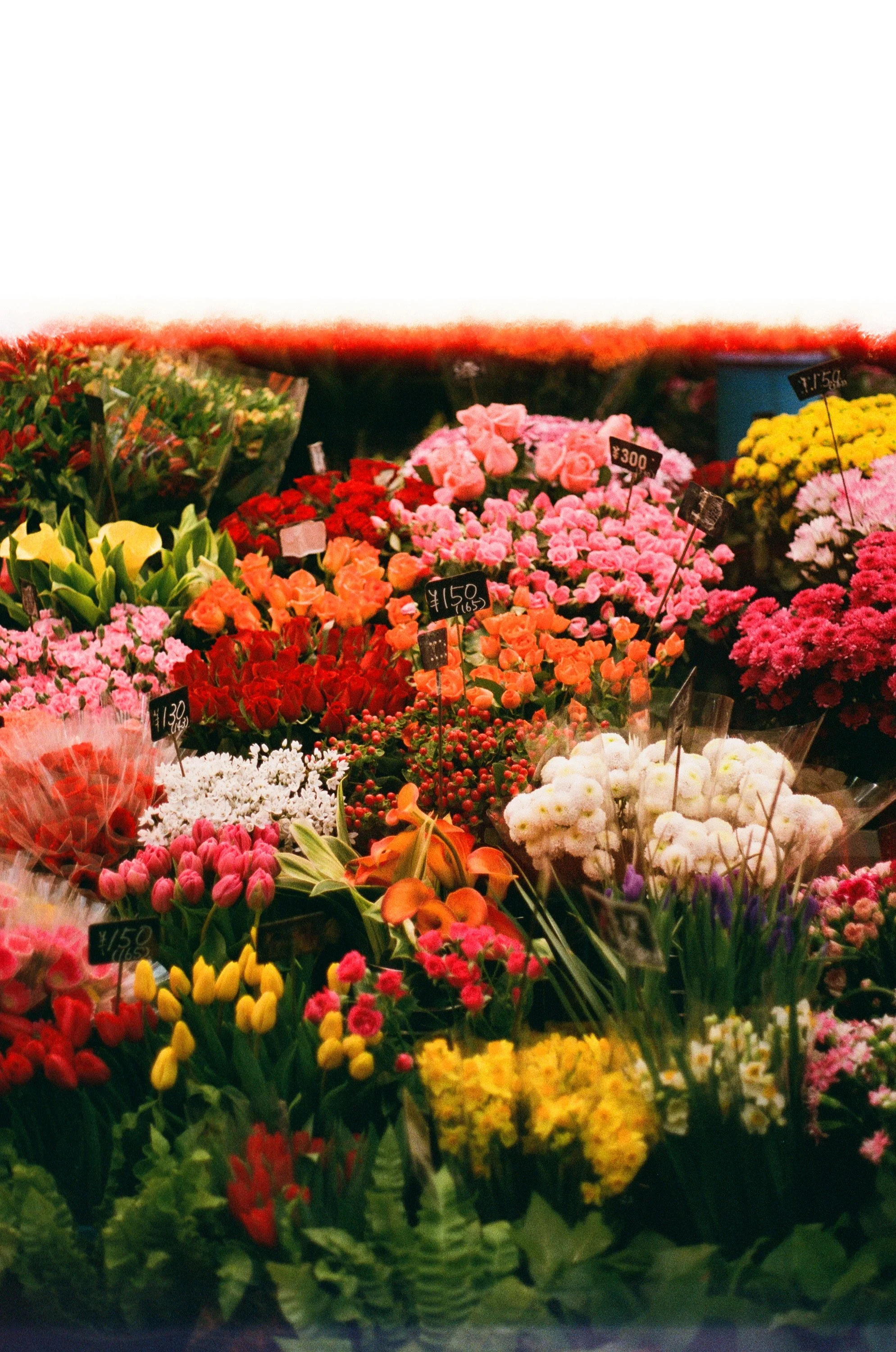 Japan-Film_05.jpg