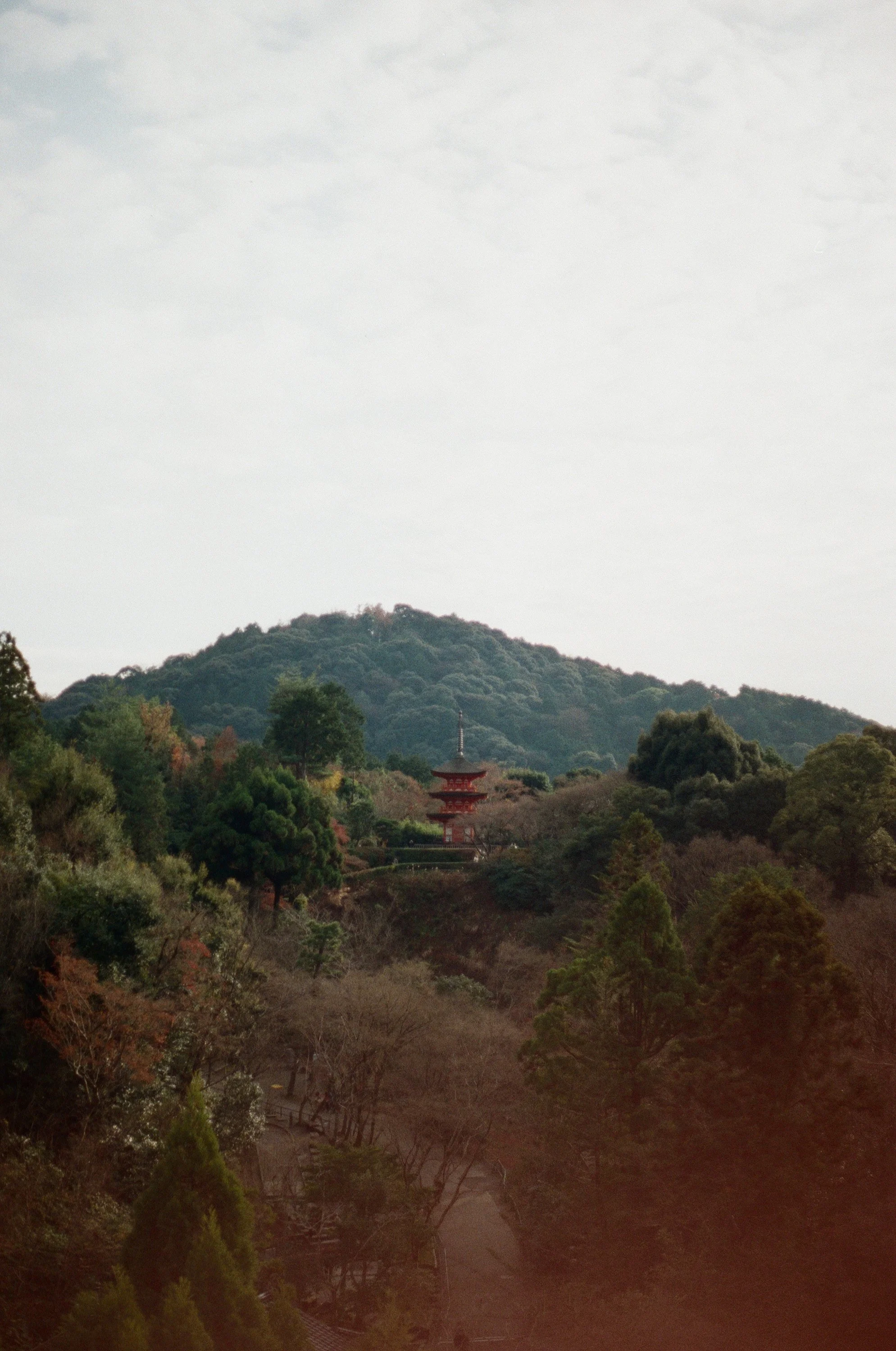 Japan-Film_15.jpg