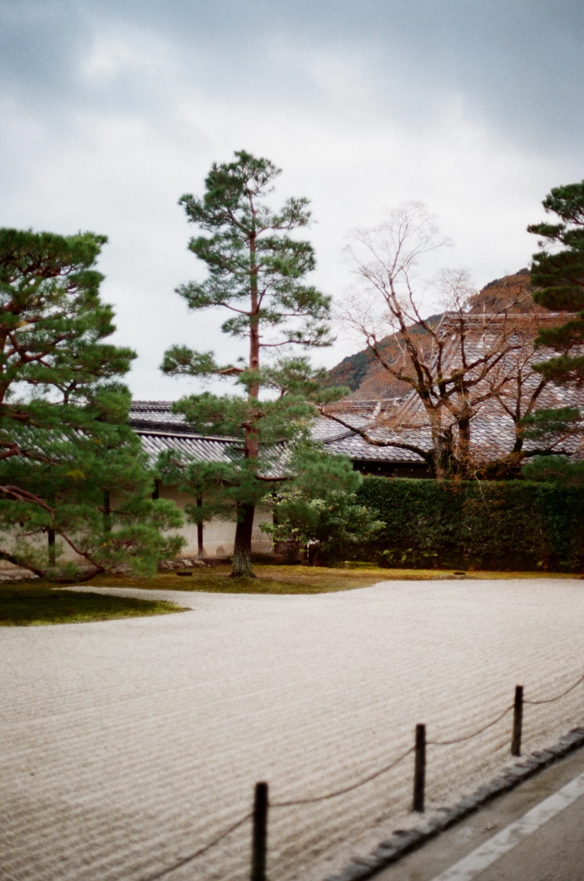 Japan-Film_21.jpg