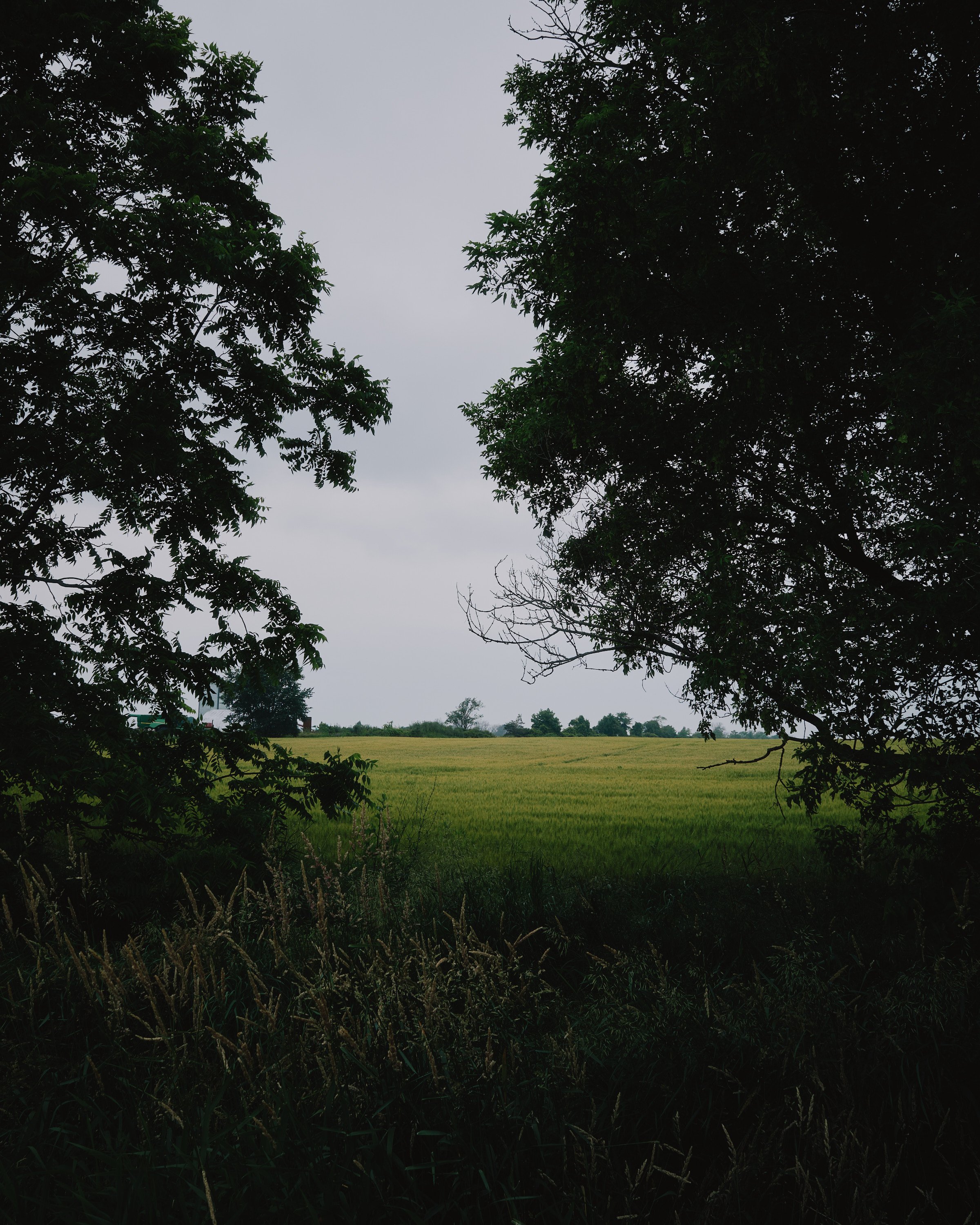 R0000914.jpg
