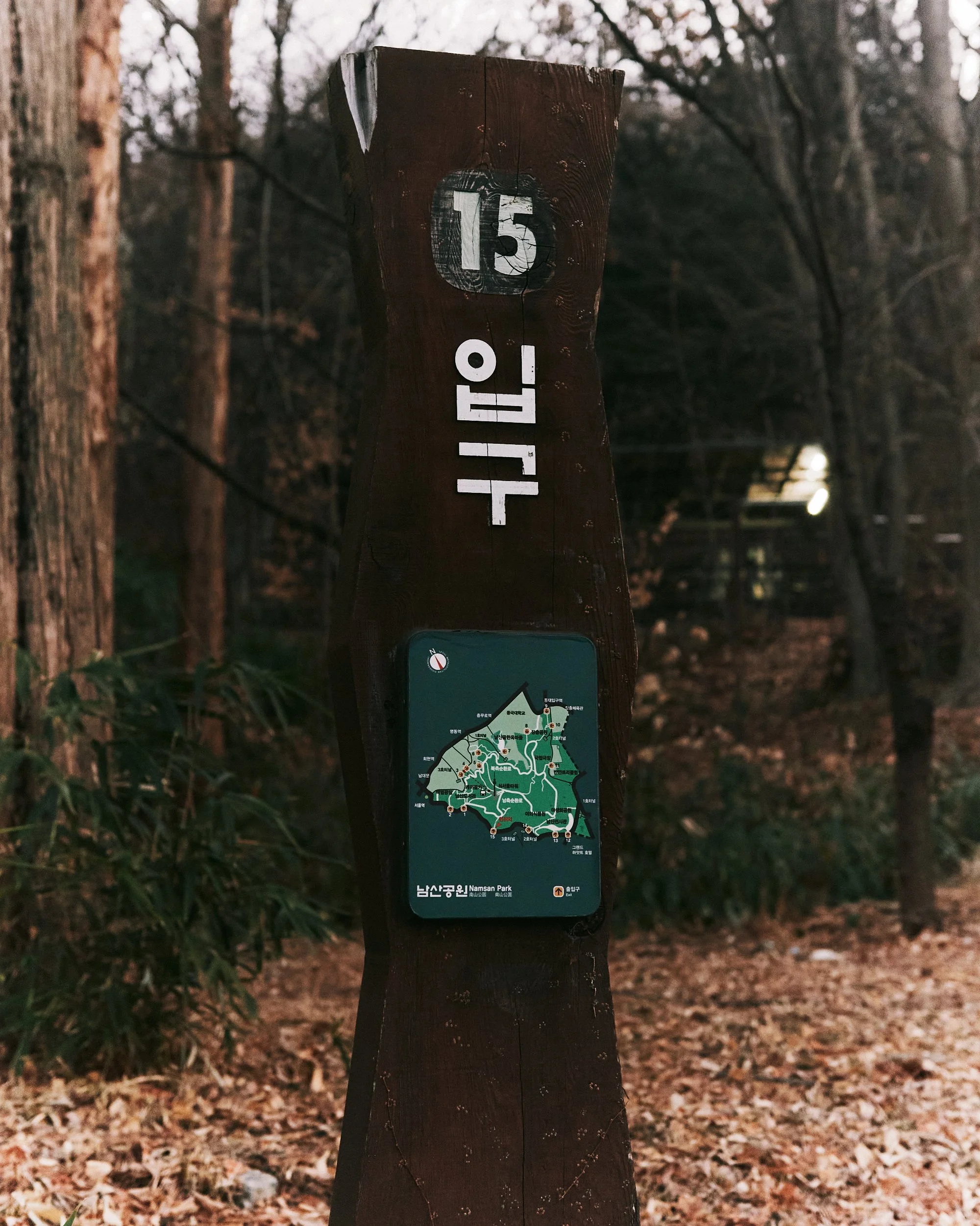 26_02_04_JT-Namsan-Trail_01.jpg