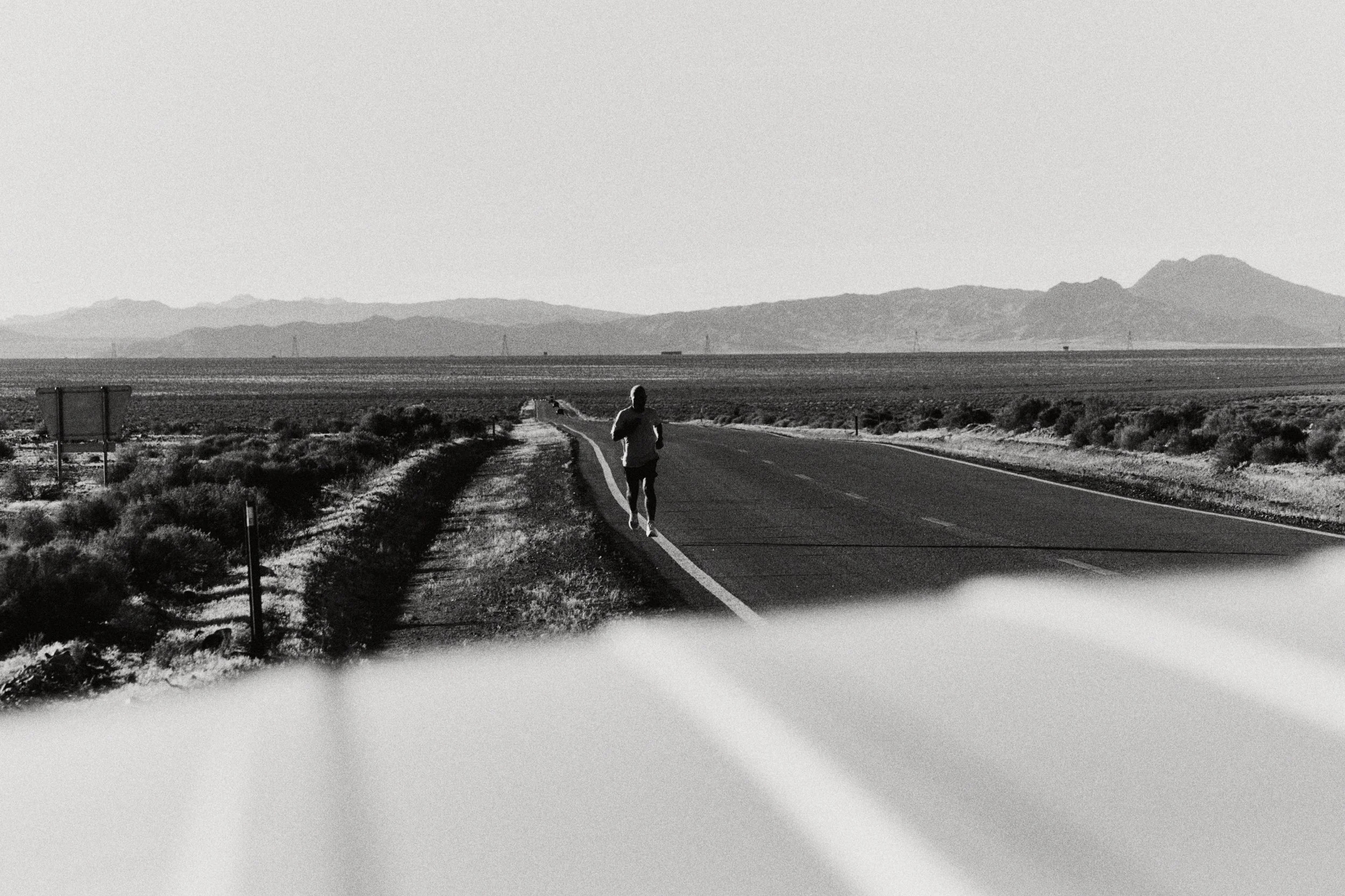 26.04.03_LDW_TSP_415 1.jpg