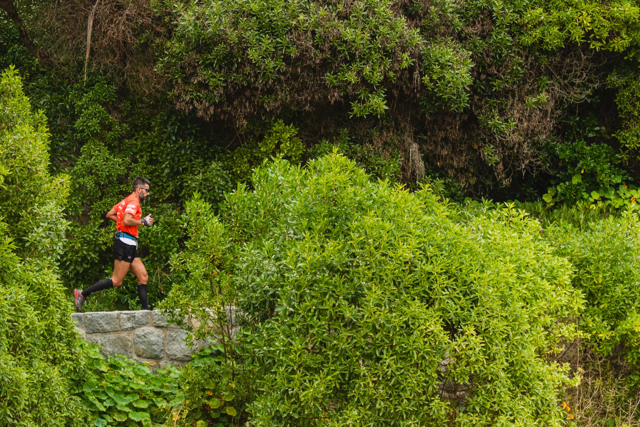 Zolkan Trail Coast - © Felipe Gálvez Engels, All Rights Reserved - 281017 - 69.jpg