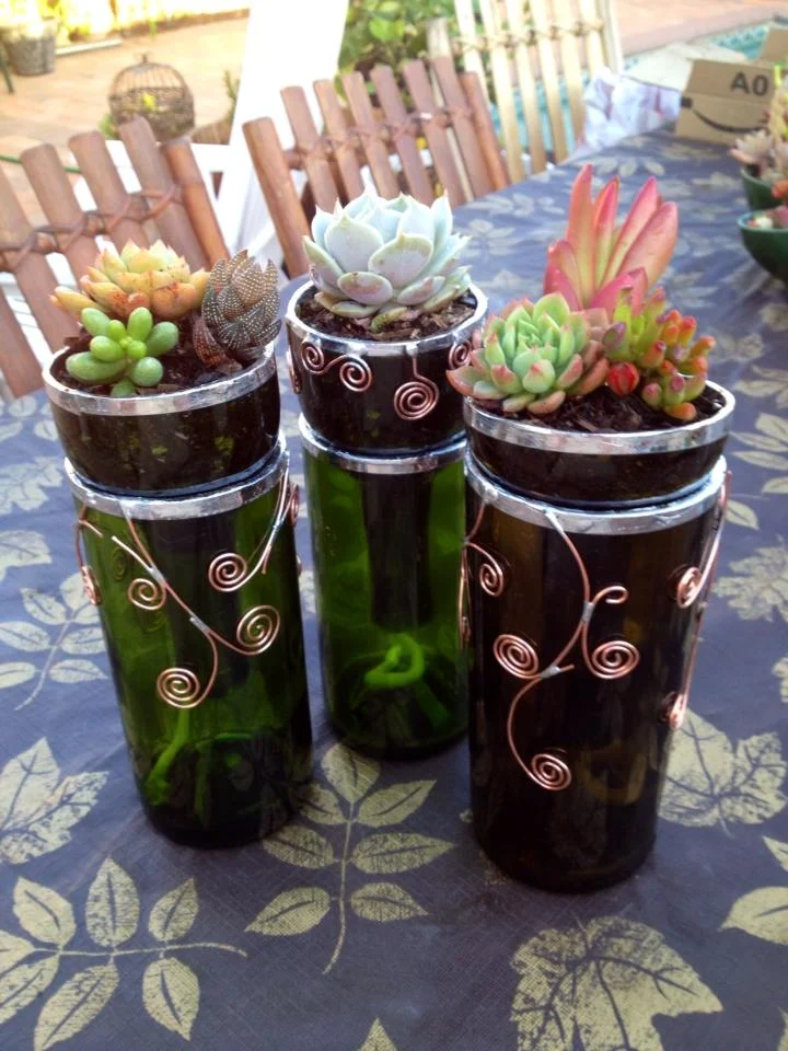 Self watering wine bottle planters