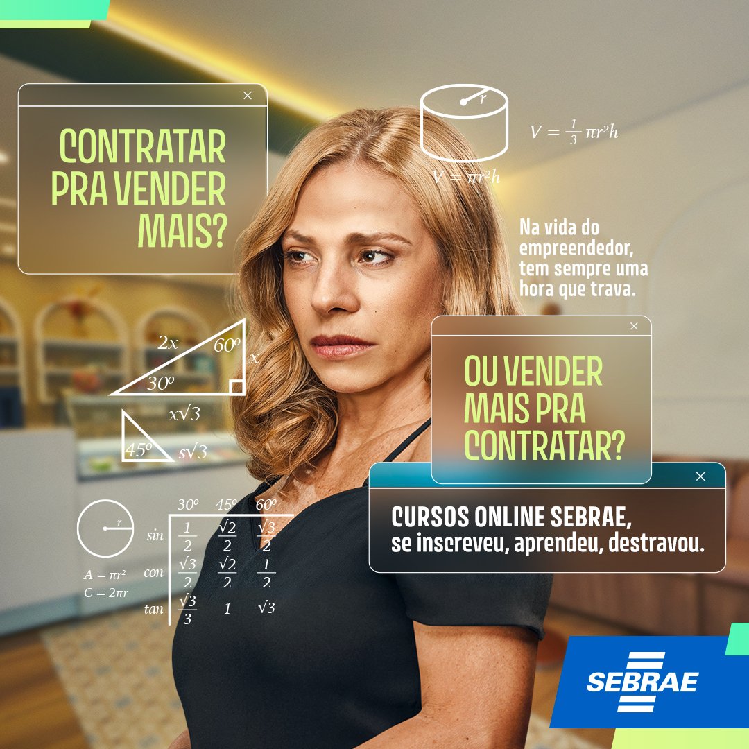 SEBRAE 