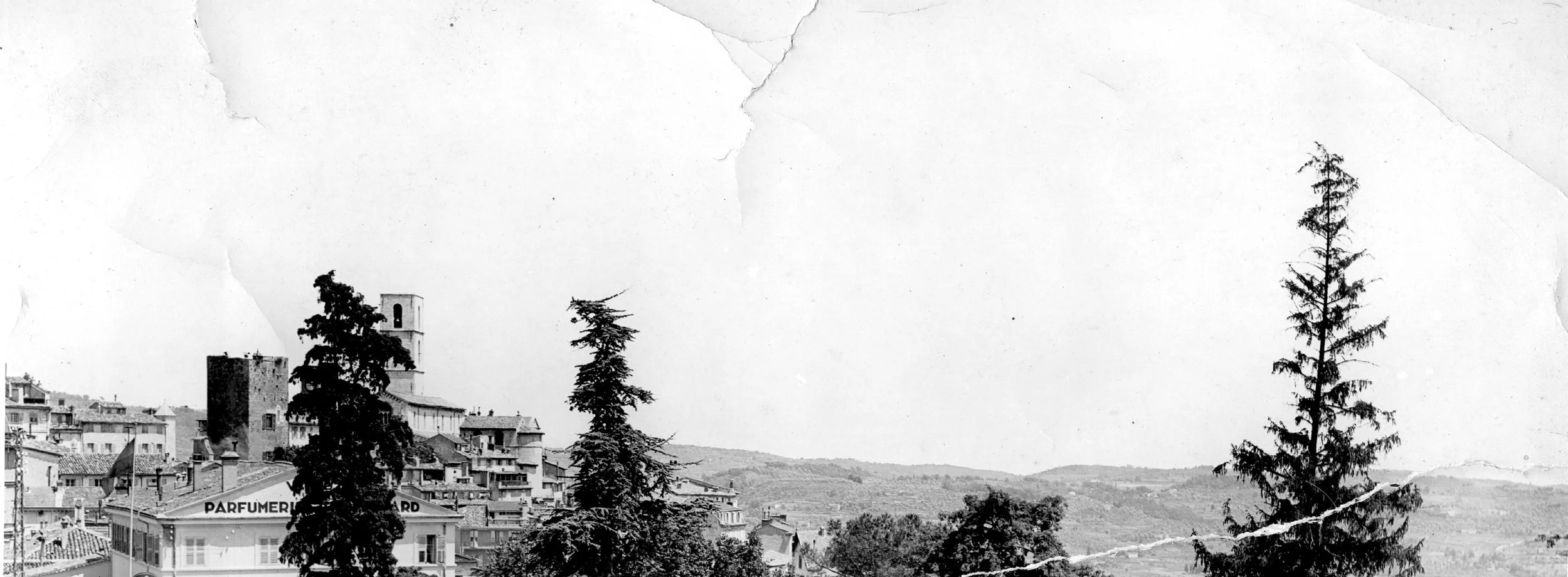 1950s black and white photograph of Grasse with church tower, evergreen and olive trees, and Mediterranean landscape