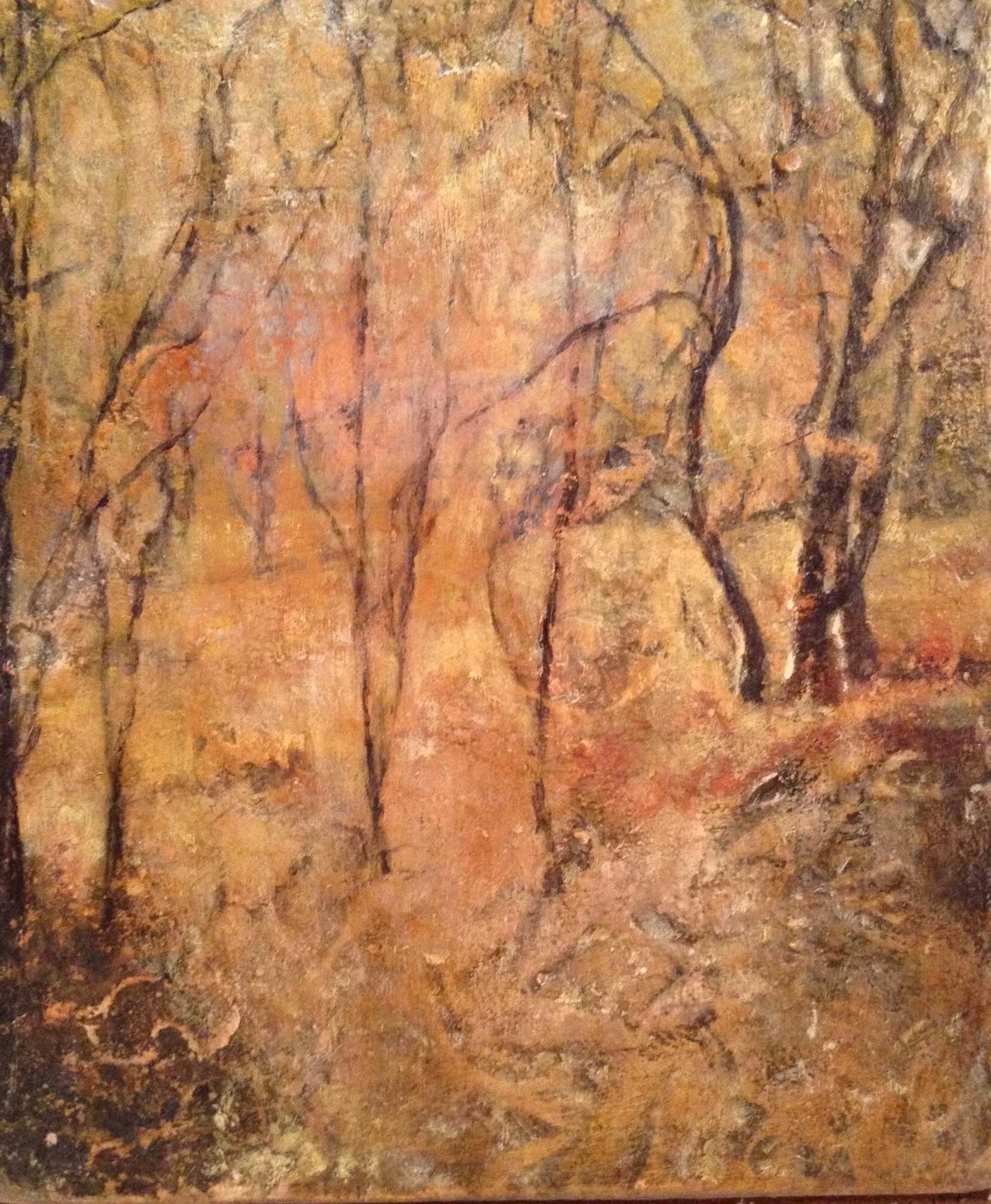 a clearing