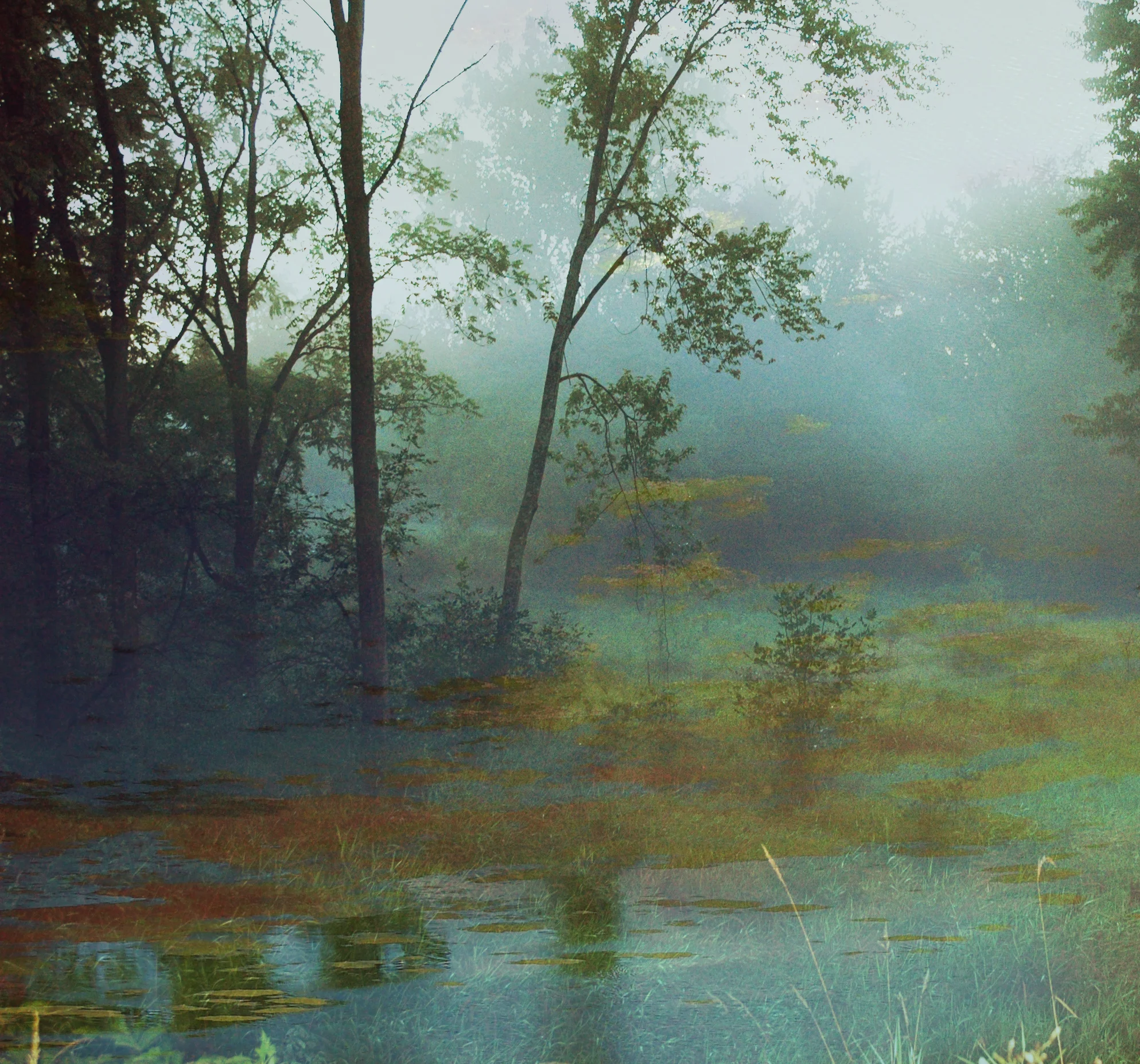 lowerbank.jpg