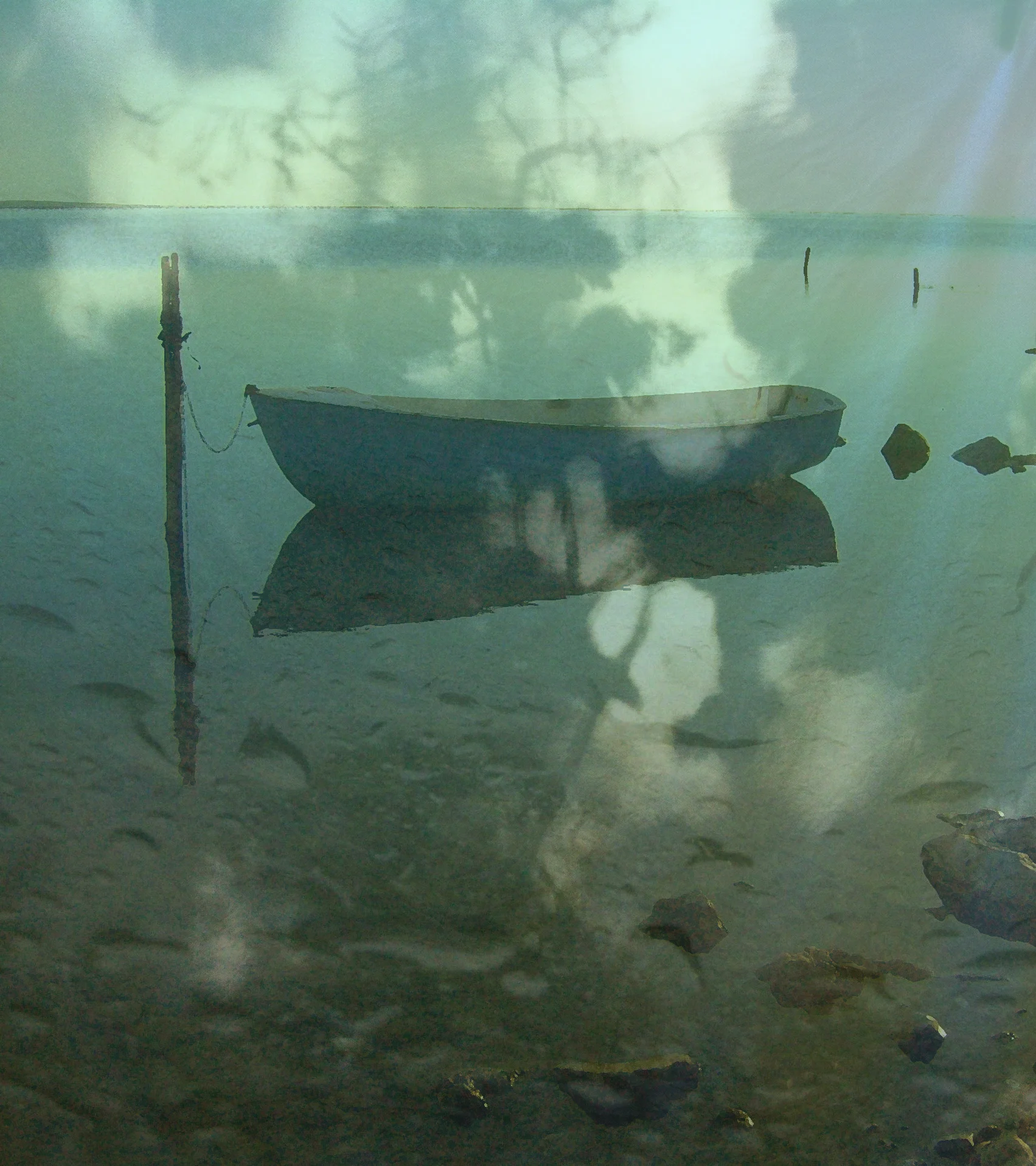 boatlagoon.jpg