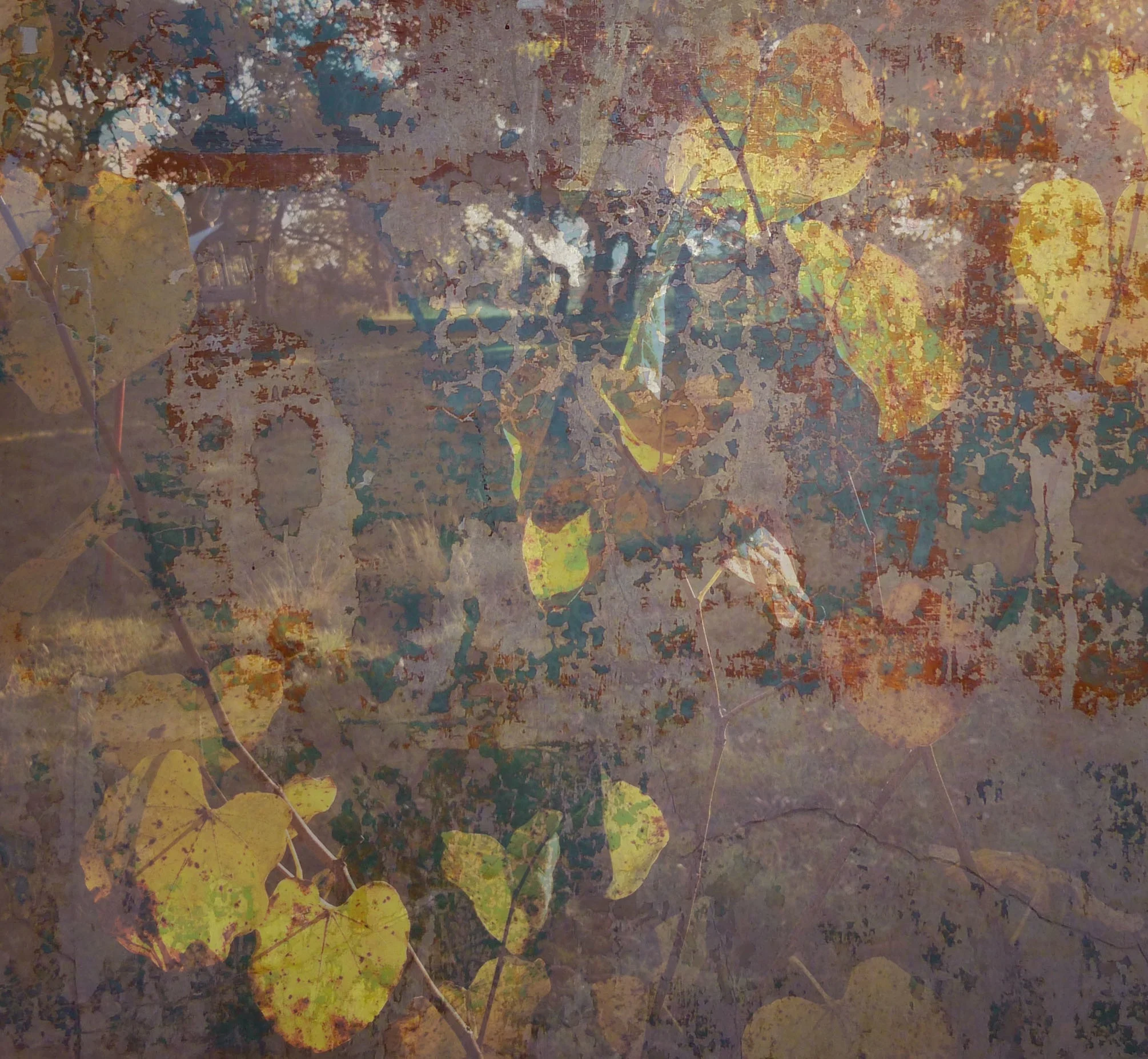 "Yellow leaves on the ground"