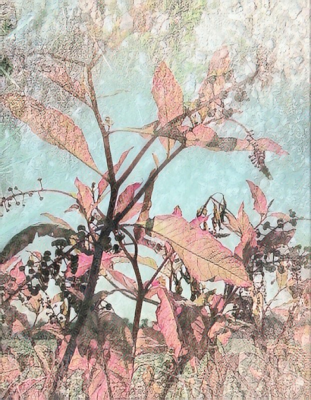 Mixed Media Botanicals