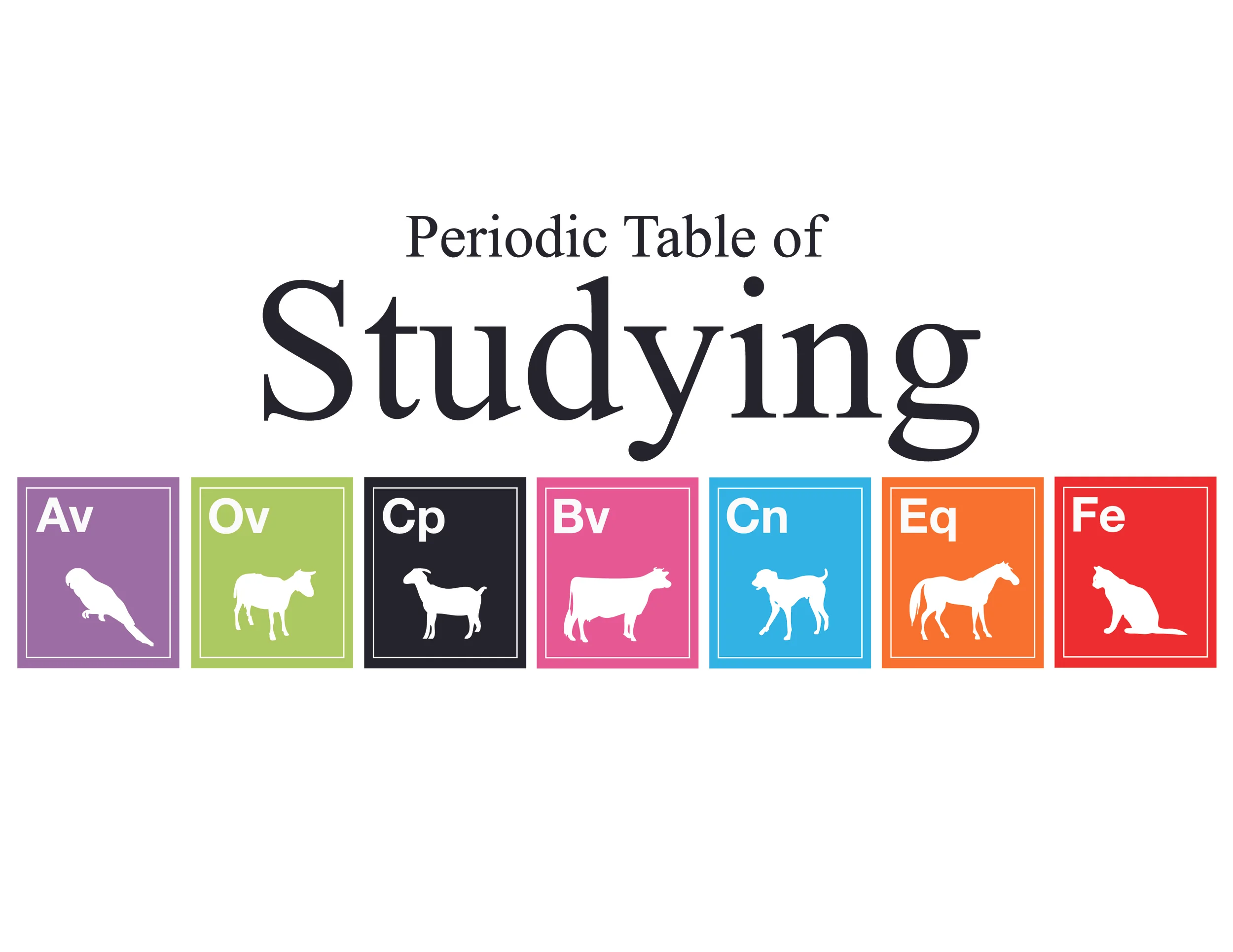 Periodic Table Of Studying-01.jpg