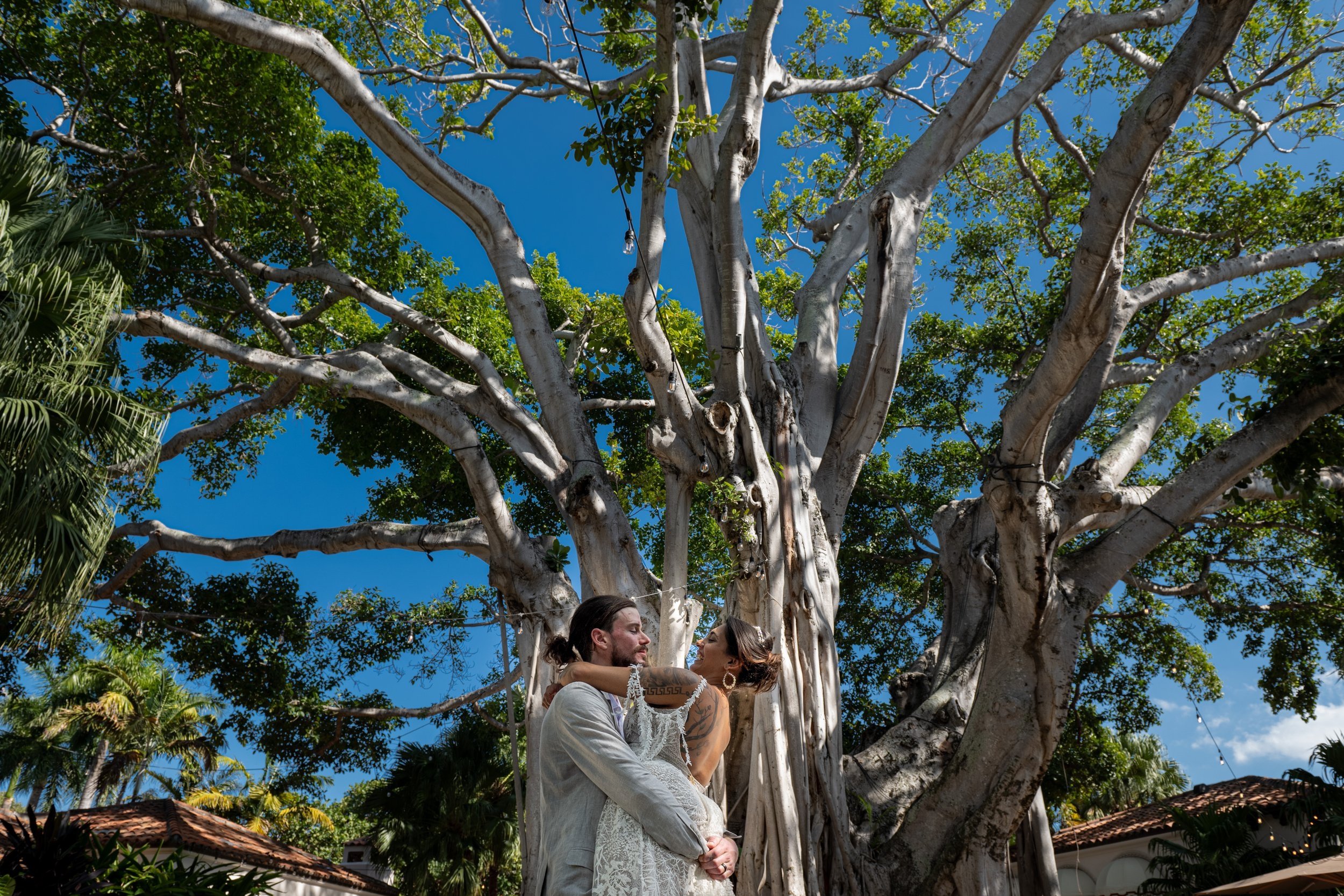 Ficus_Tree_FisherIsland.jpg