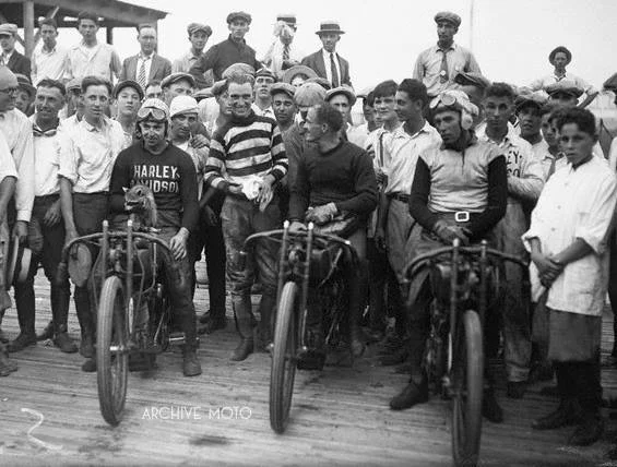 Bill Minnick's Racoon