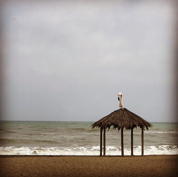  Torremolinos, Spain 2018 