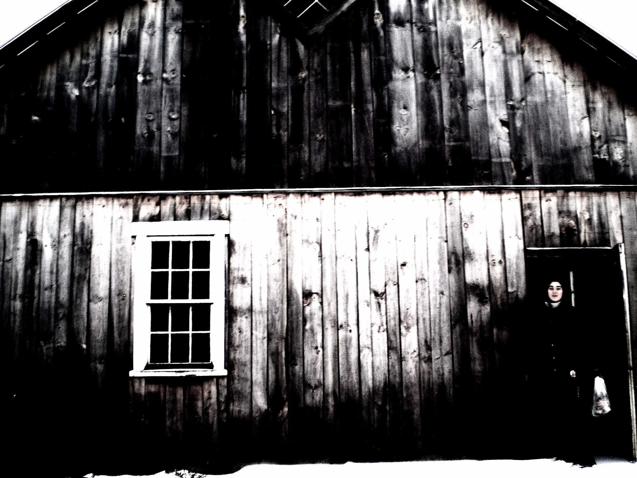 Excerpt from "Catharsis"