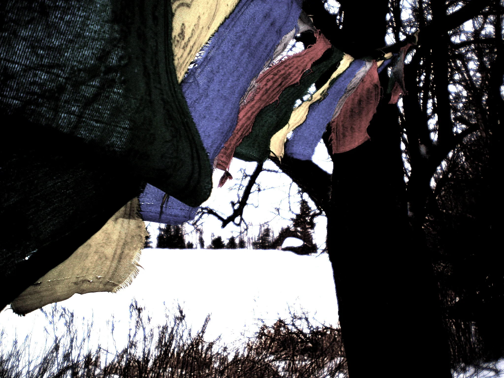 Excerpt from "Catharsis"