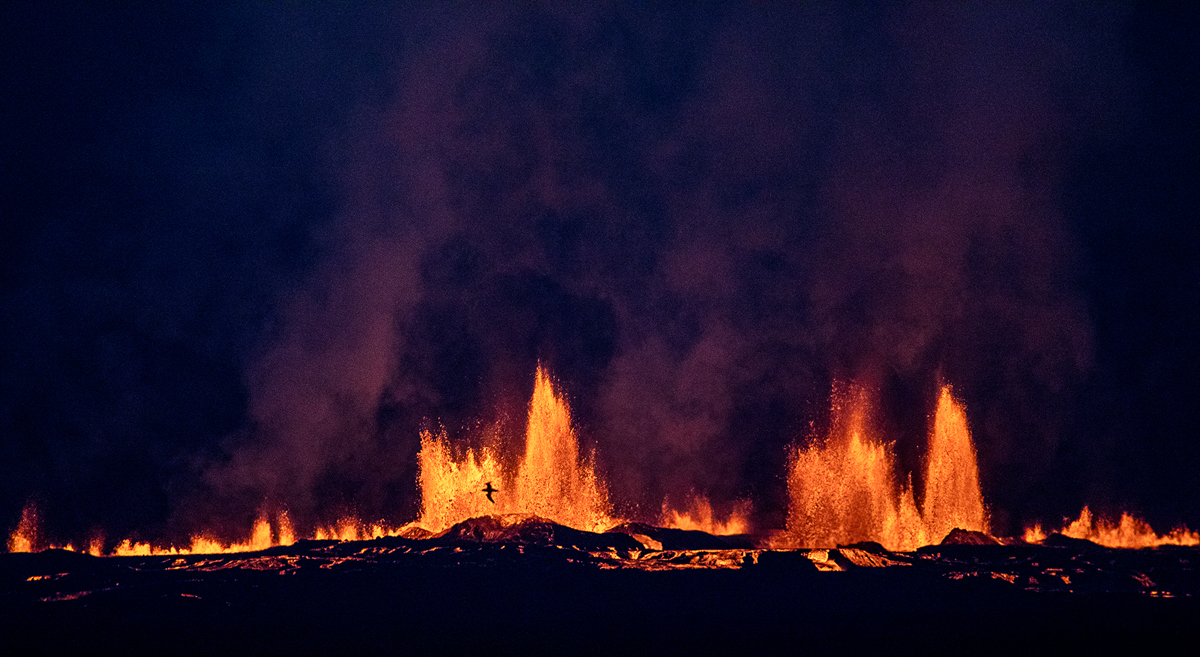 Volcano_closeup_bird.jpg
